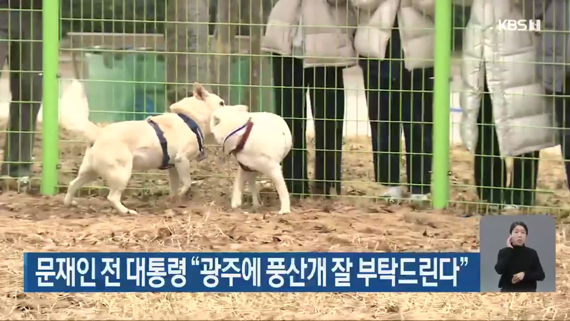 문재인 전 대통령 “광주에 풍산개 잘 부탁드린다”
