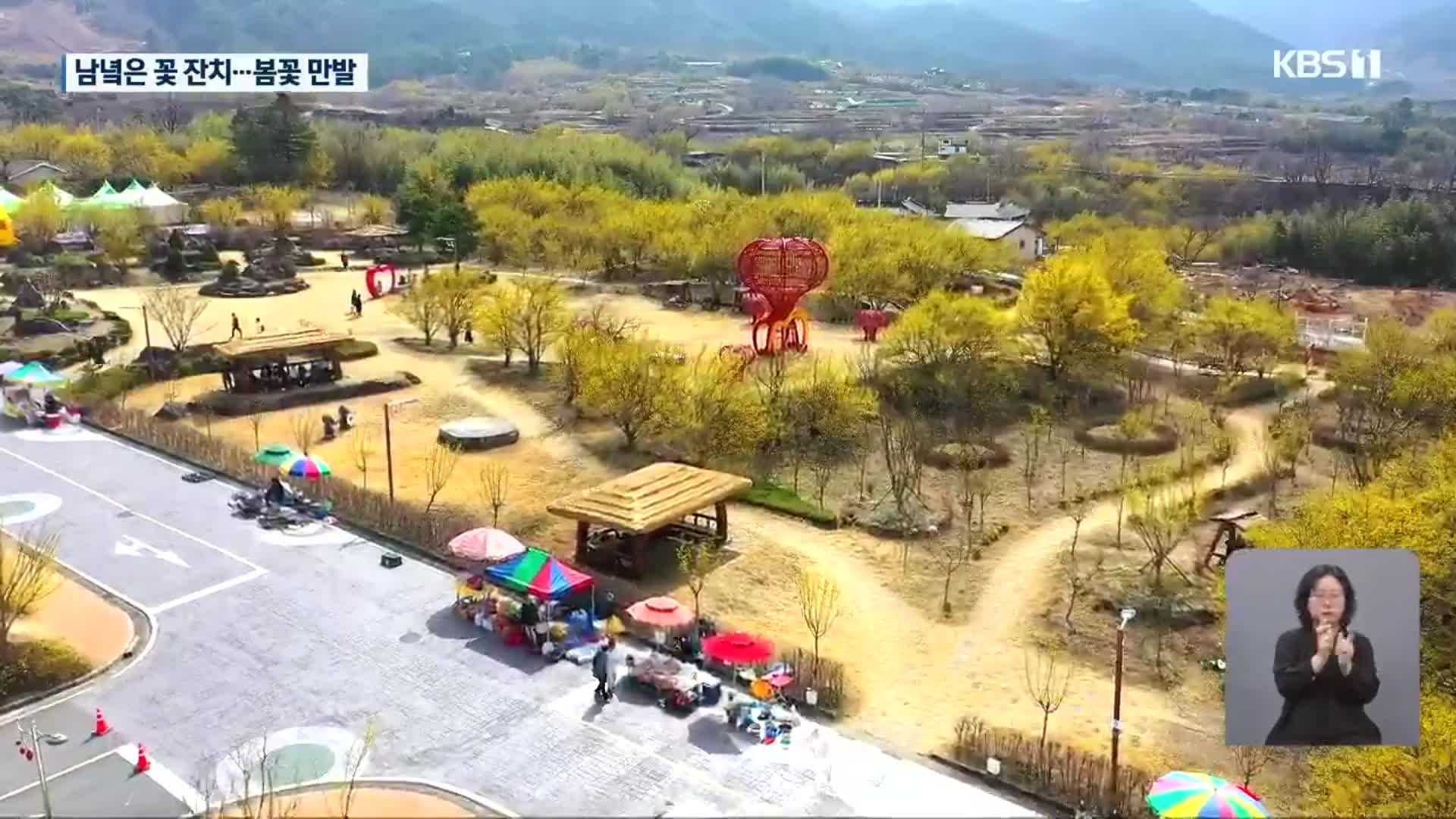 구례 산수유 ‘활짝’…4년 만에 축제 재개