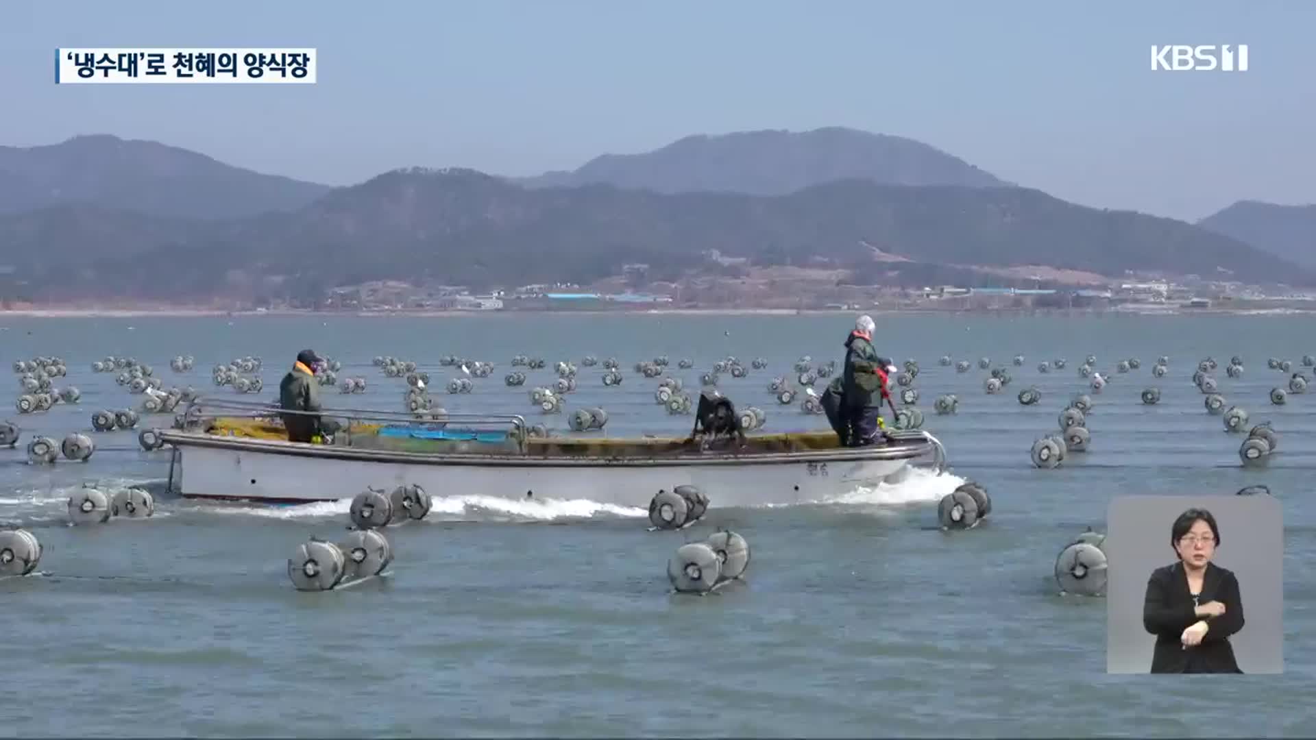 냉수대 형성 진도 해역…“전복 폐사 없어요”