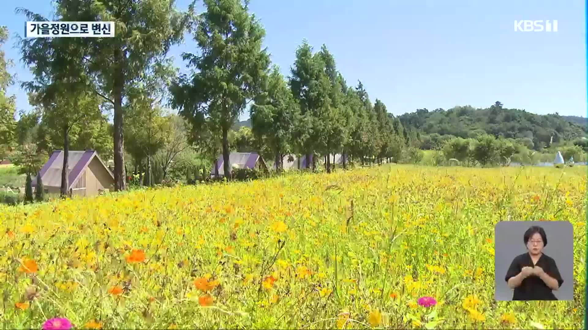 내일 ‘백로’…순천만국가정원, 가을정원으로 변신