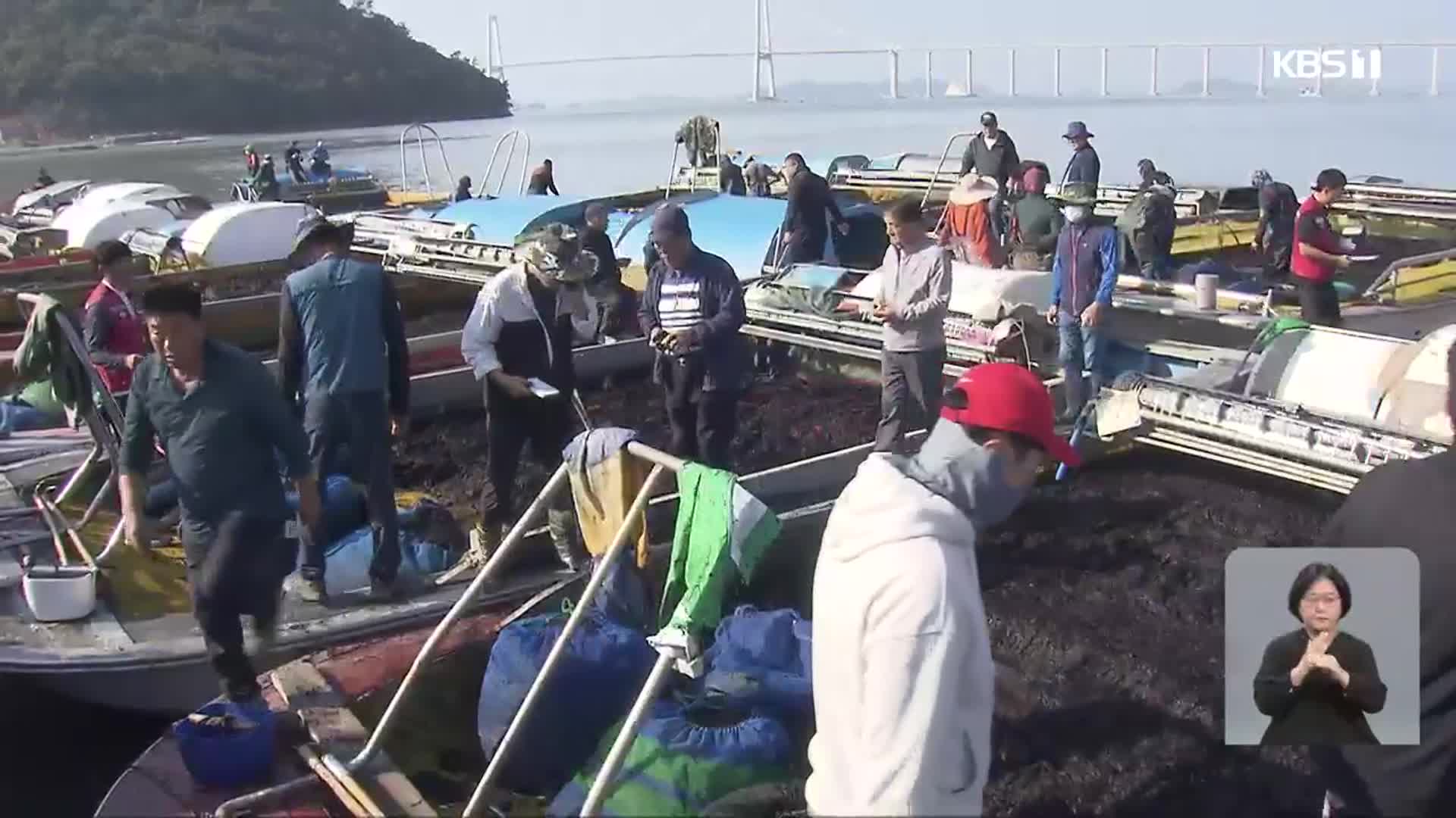 서남해 햇김 출하 시작…육상채묘도 인기