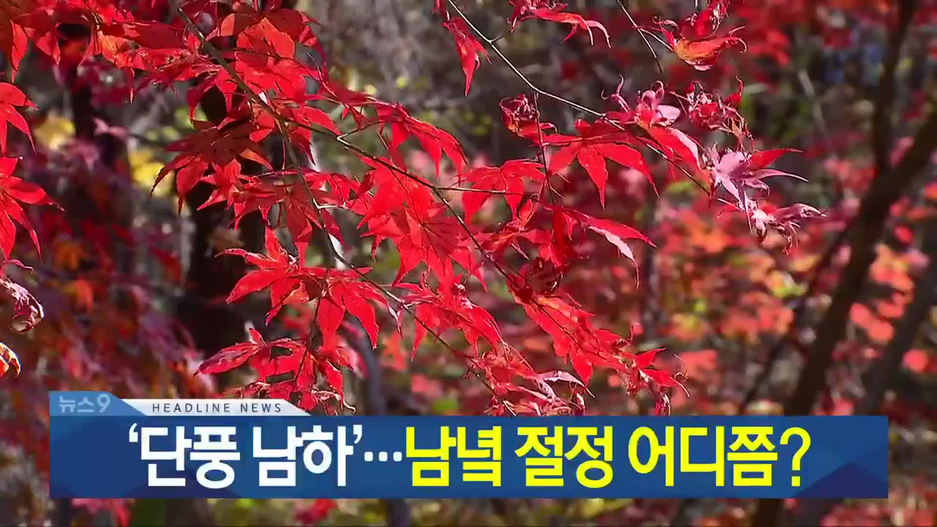[뉴스9 광주·전남 헤드라인]