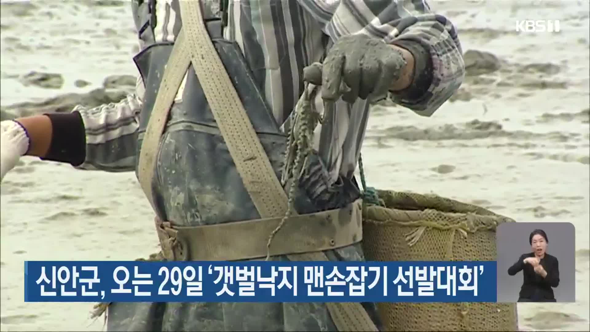 신안군, 오는 29일 ‘갯벌낙지 맨손잡기 선발대회’