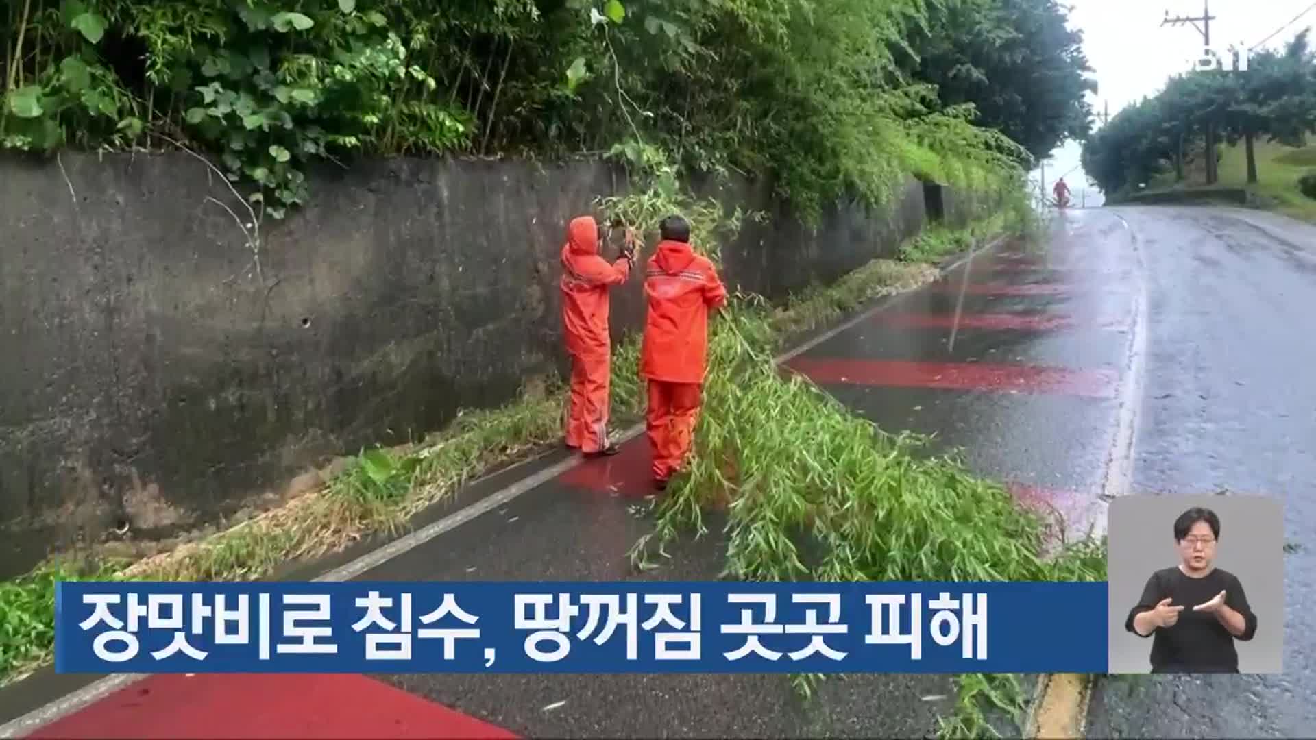 광주·전남 장맛비로 침수, 땅꺼짐 곳곳 피해