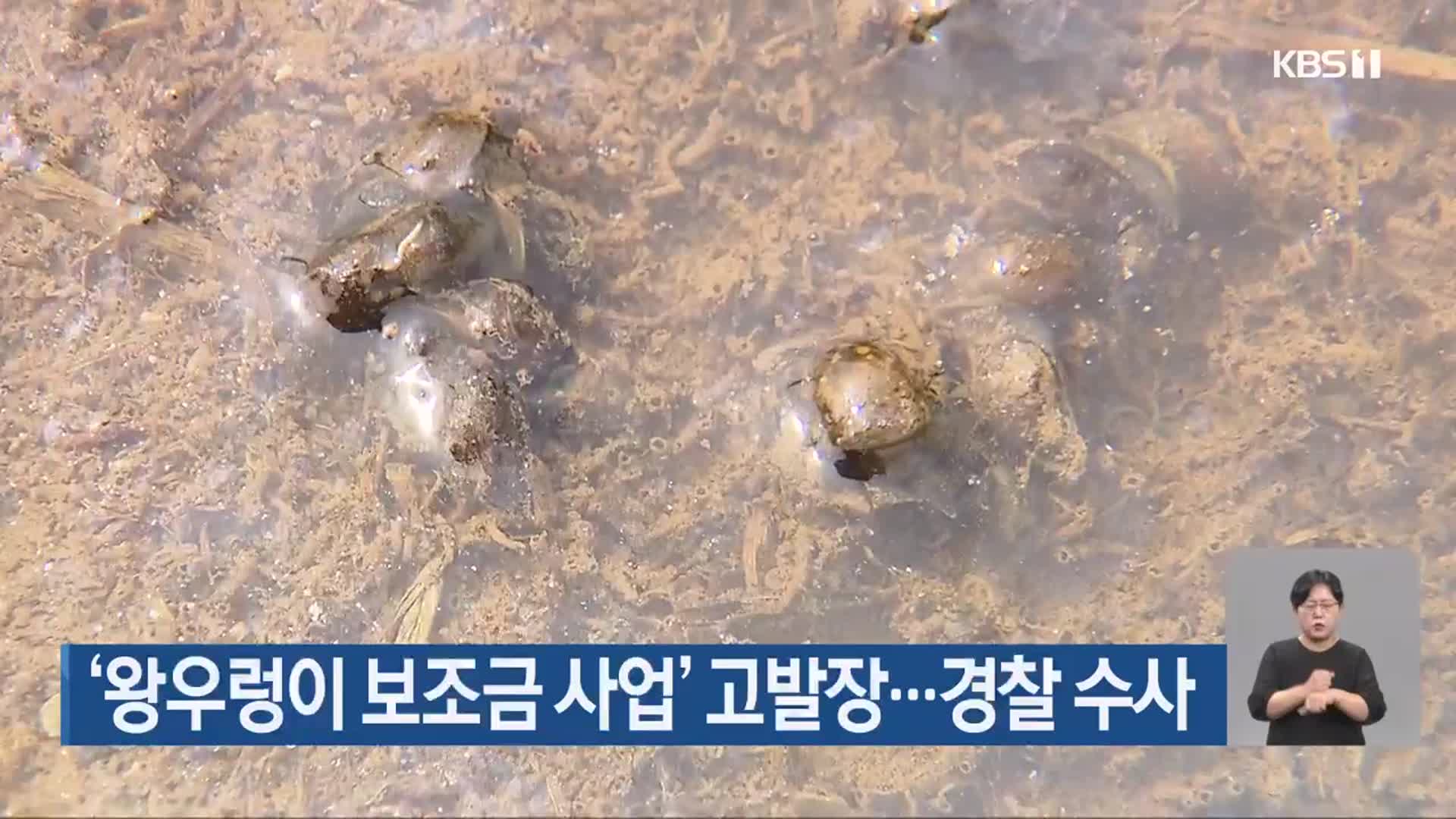 ‘왕우렁이 보조금 사업’ 고발장…경찰 수사