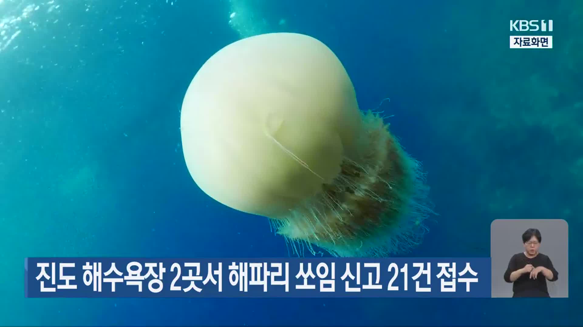 진도 해수욕장 2곳서 해파리 쏘임 신고 21건 접수