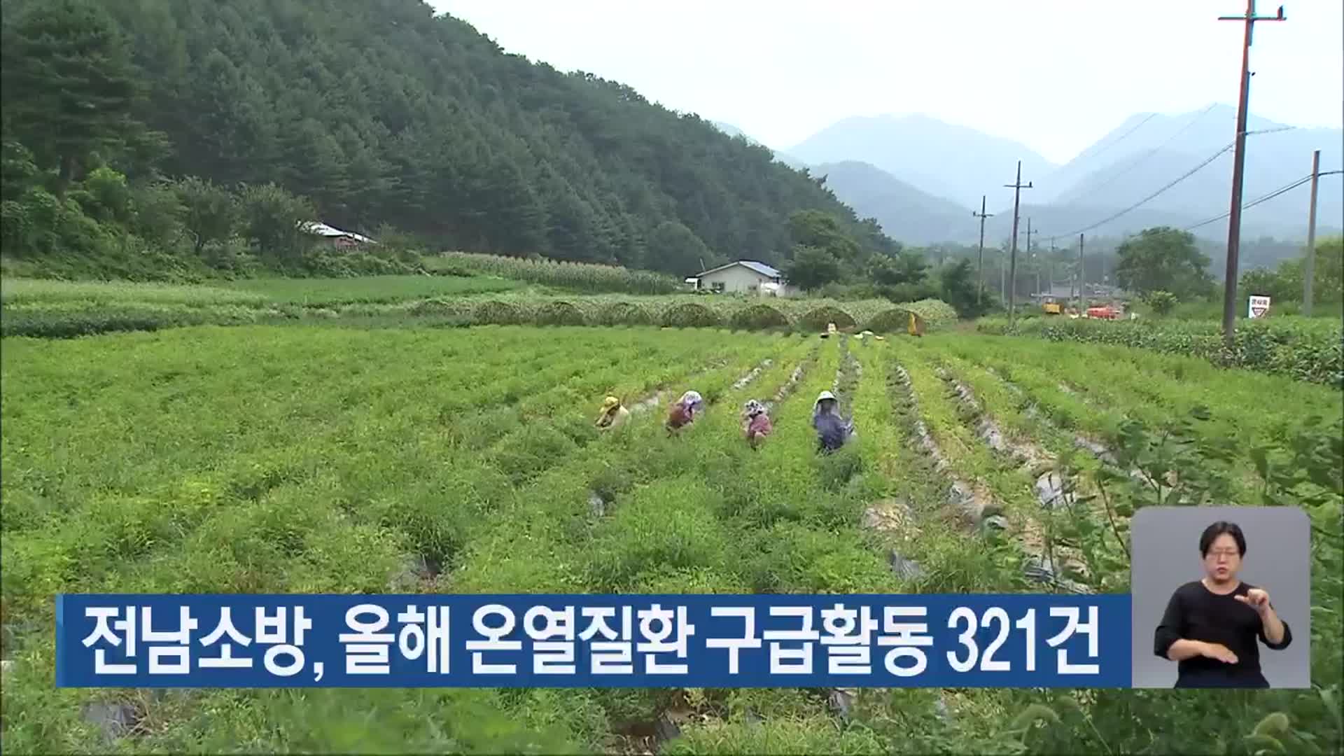 전남소방, 올해 온열질환 구급활동 321건