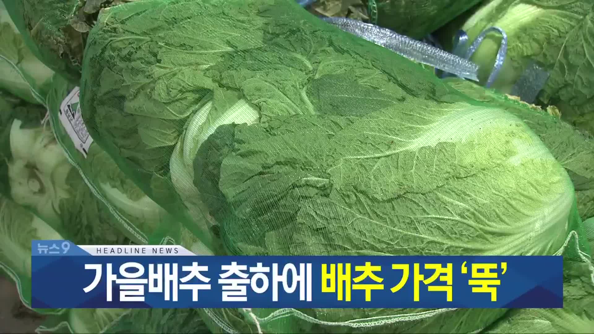 [뉴스9 광주·전남 헤드라인]