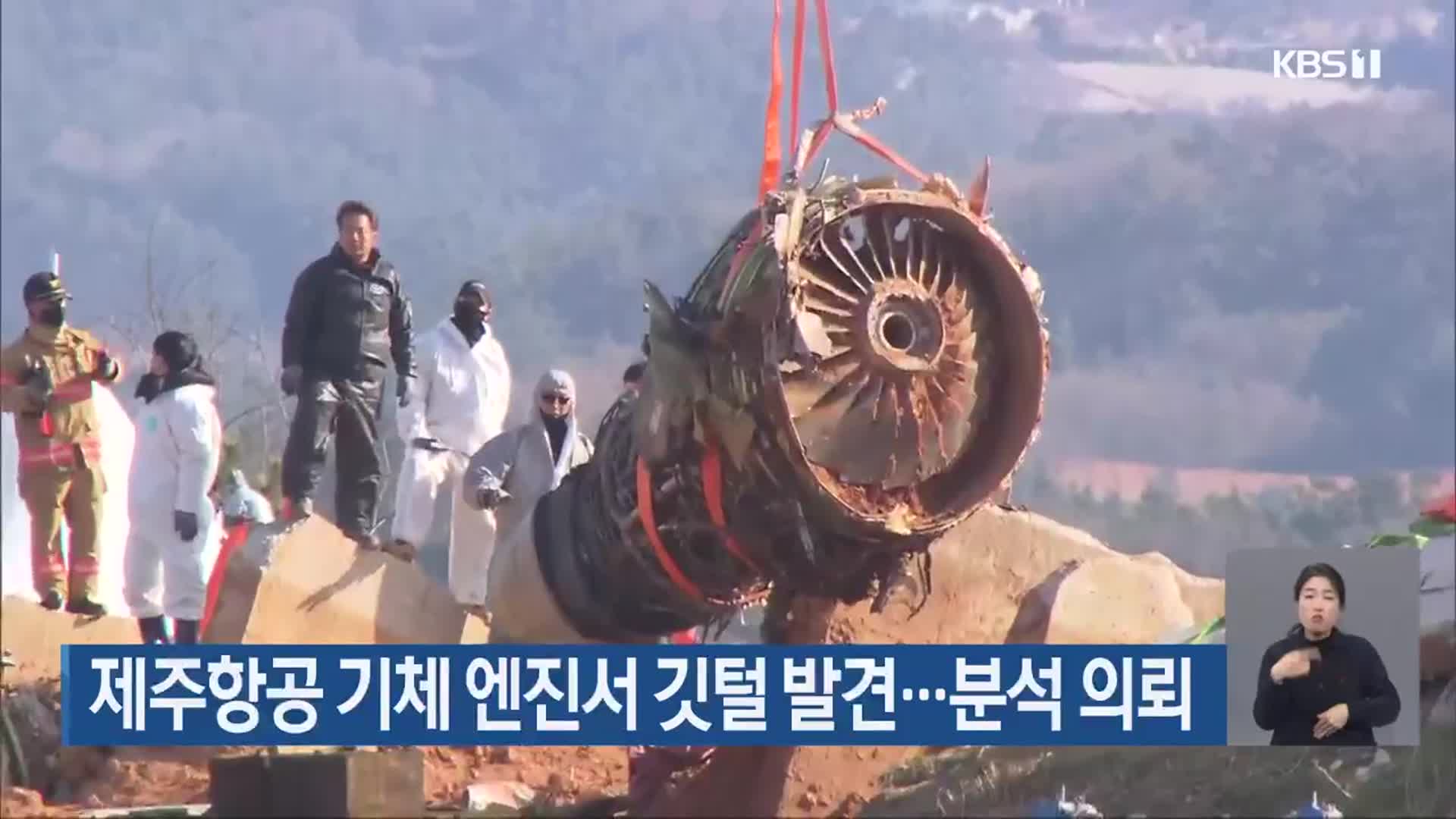 제주항공 기체 엔진서 깃털 발견…분석 의뢰