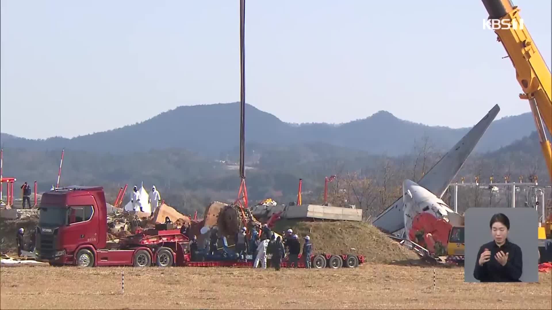 충돌 조류는 ‘가창오리’…“종합적인 원인 규명 필요”