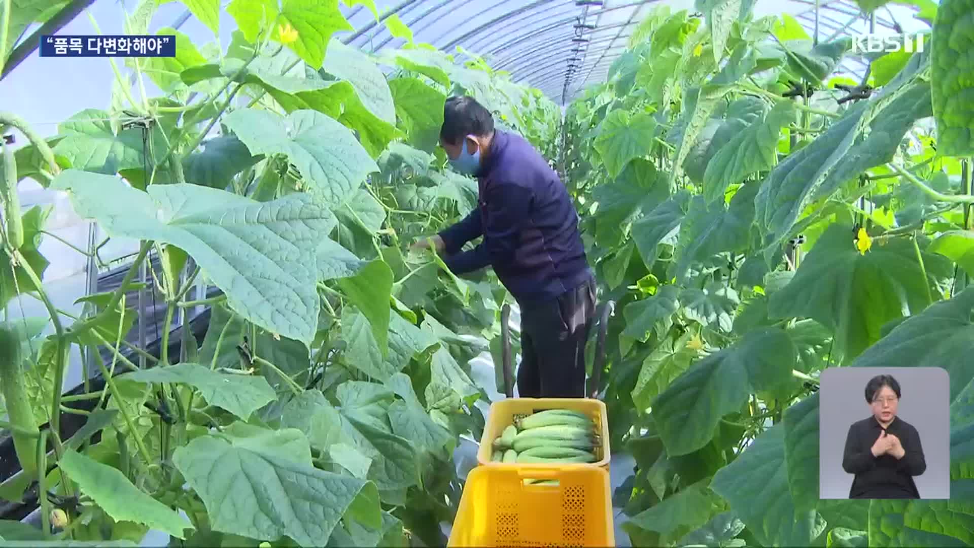 친환경농산물 1위 전남…“품목 다변화 필요”