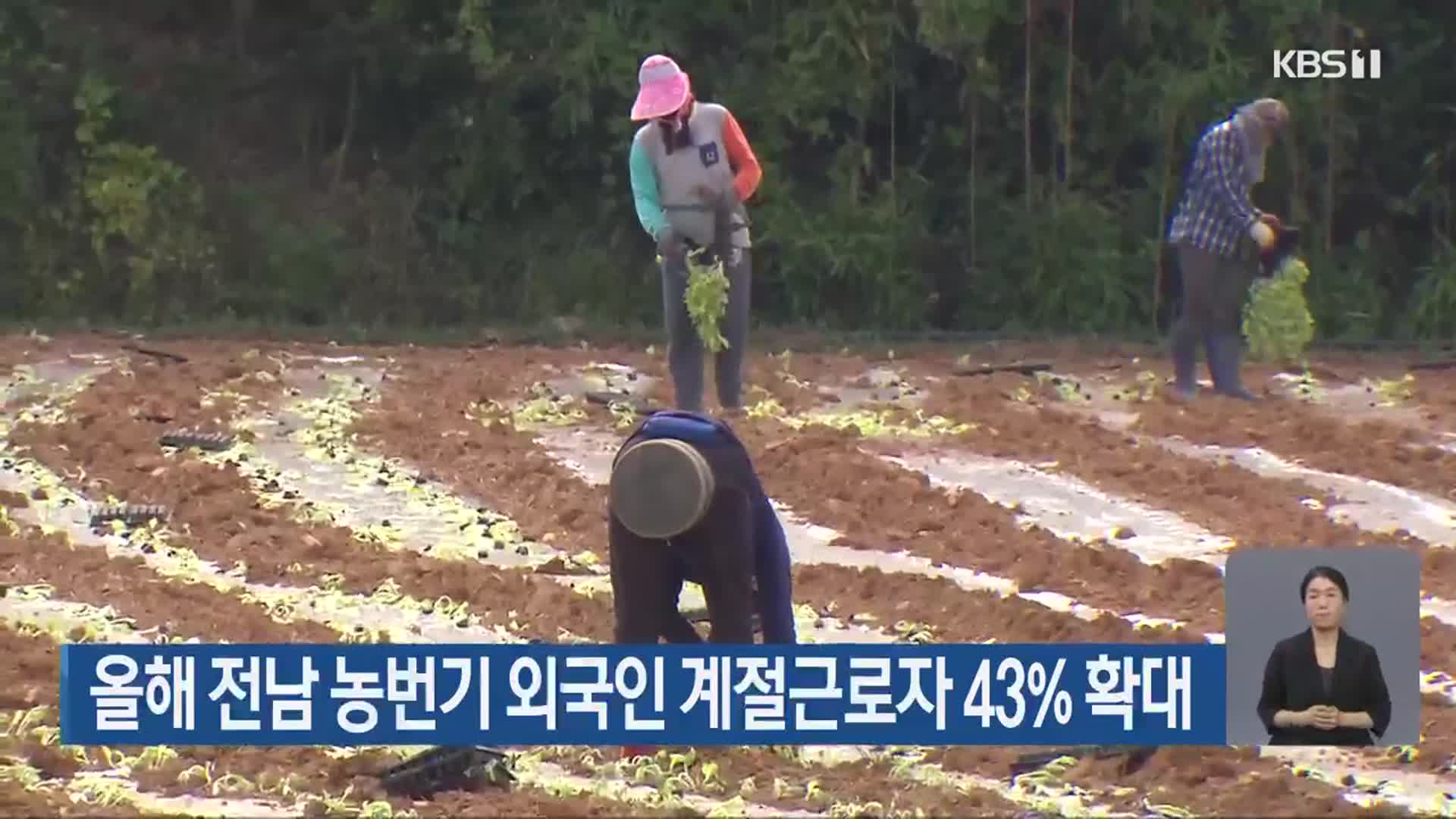 올해 전남 농번기 외국인 계절근로자 43% 확대