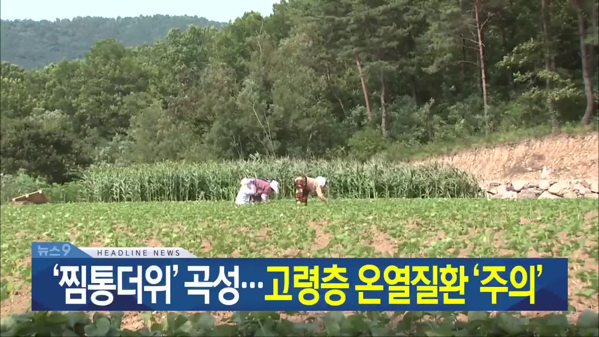 [뉴스9 광주·전남 헤드라인]