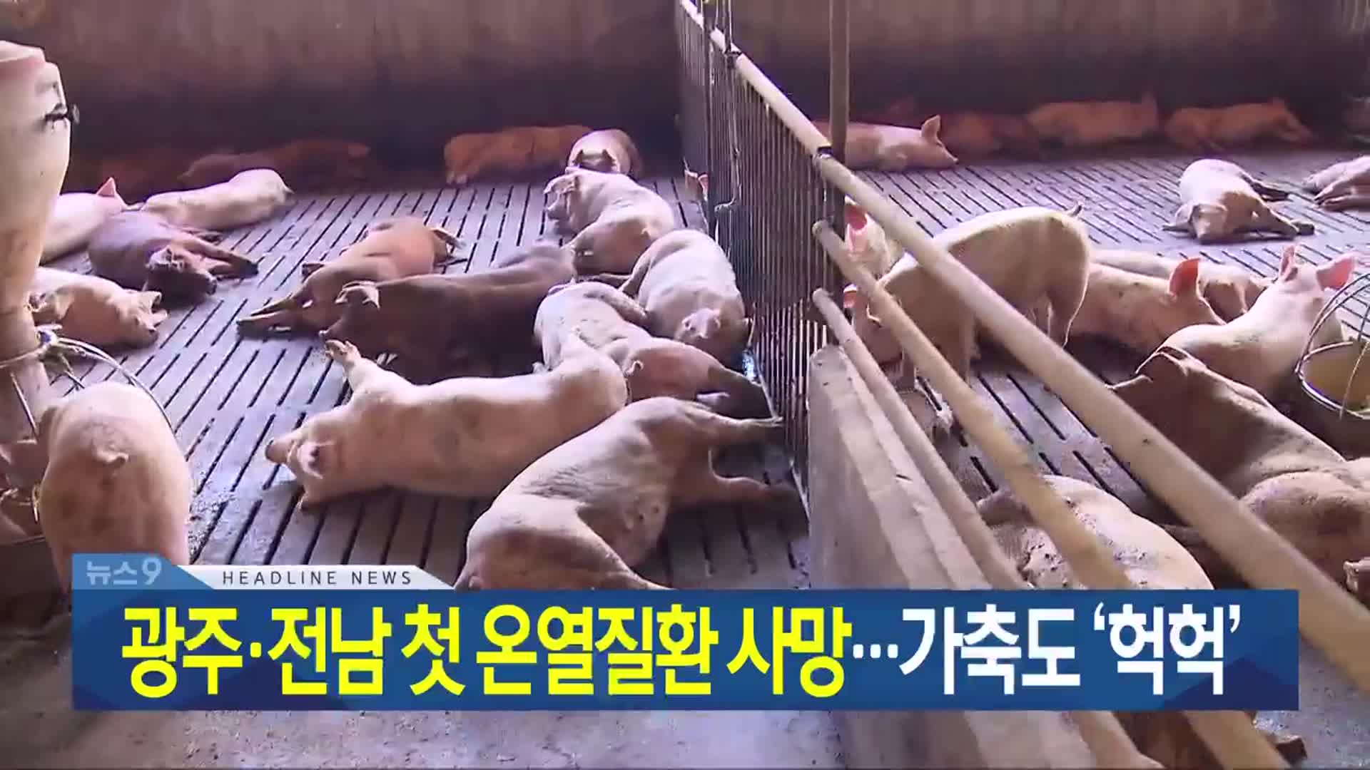 [뉴스9 광주·전남 헤드라인]