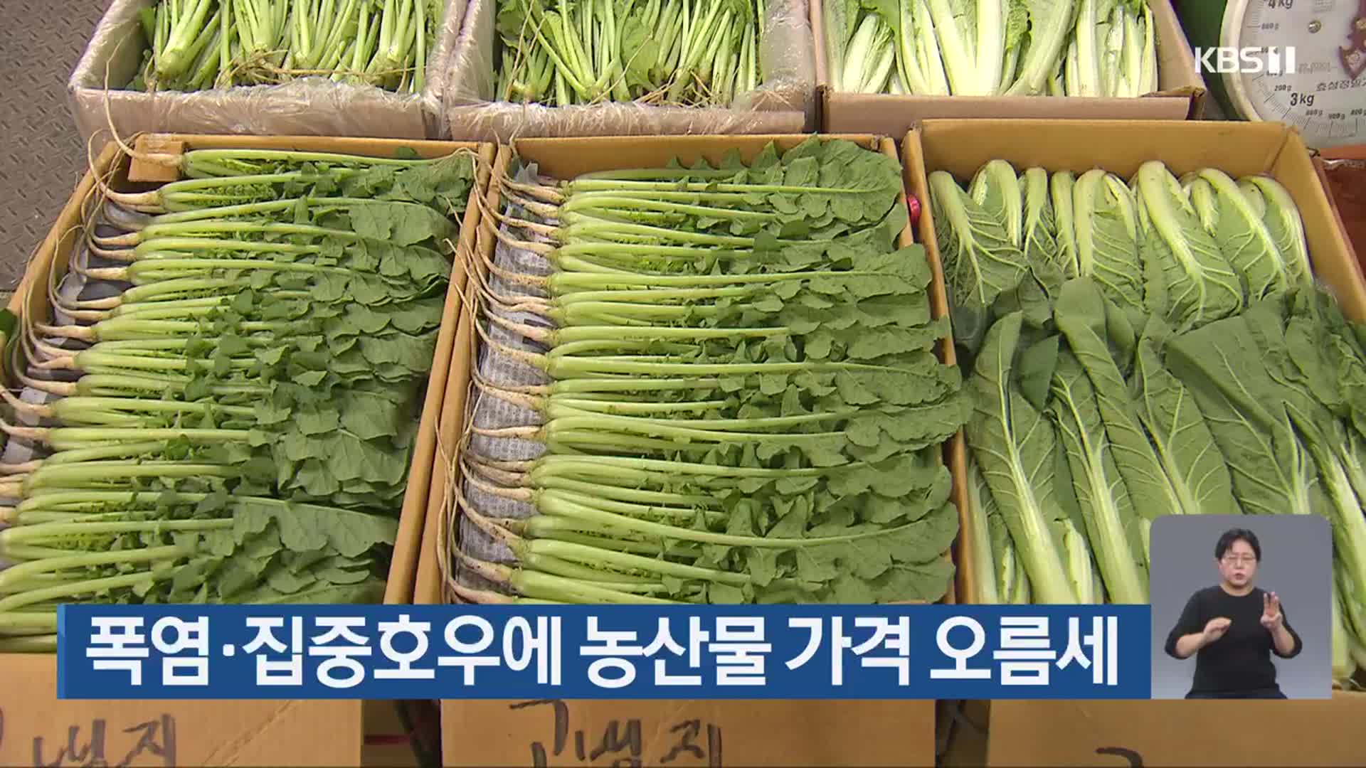 폭염·집중호우에 농산물 가격 오름세
