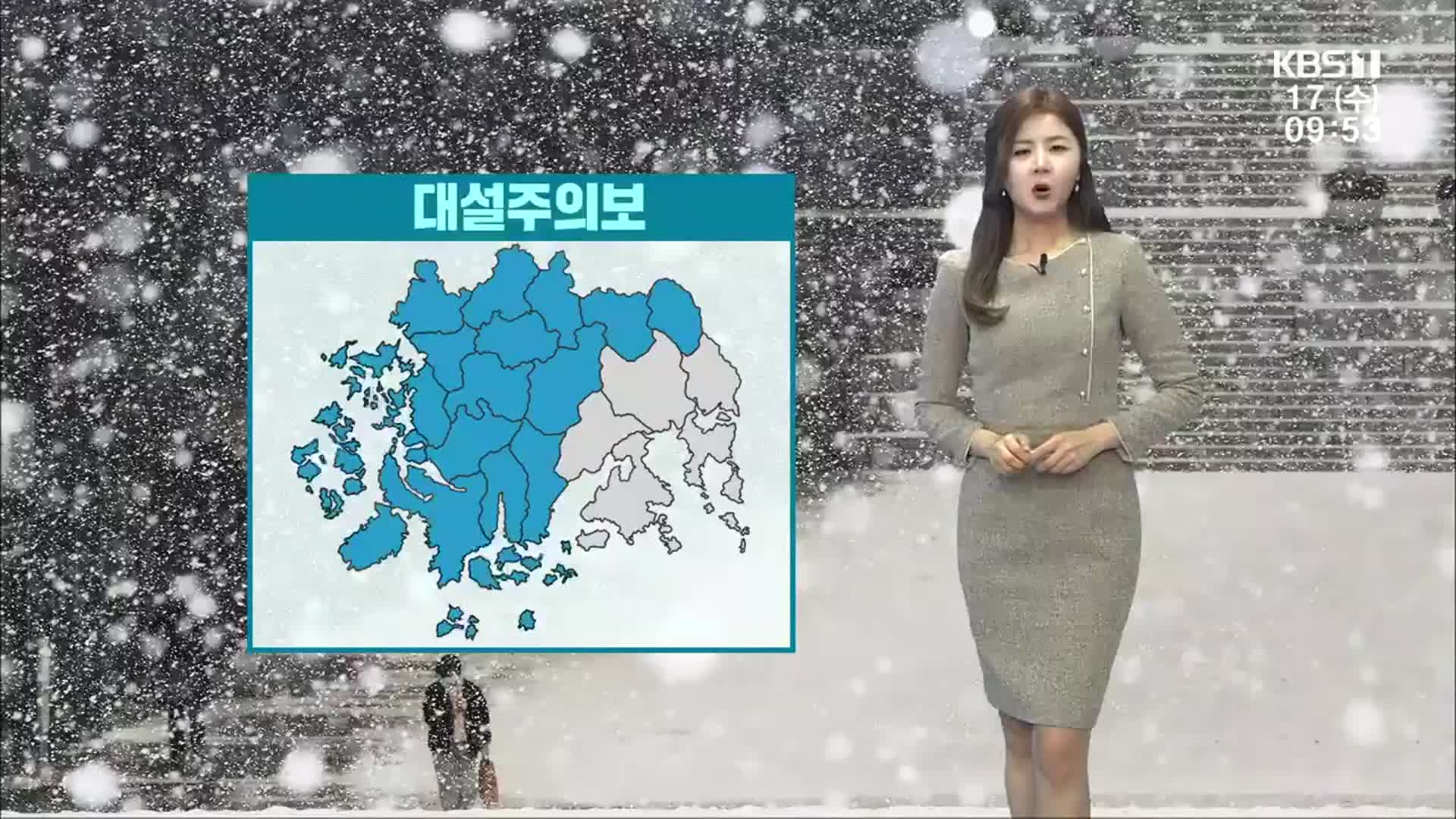 [날씨] 광주·전남 16개 시군 대설주의보…최대 15cm