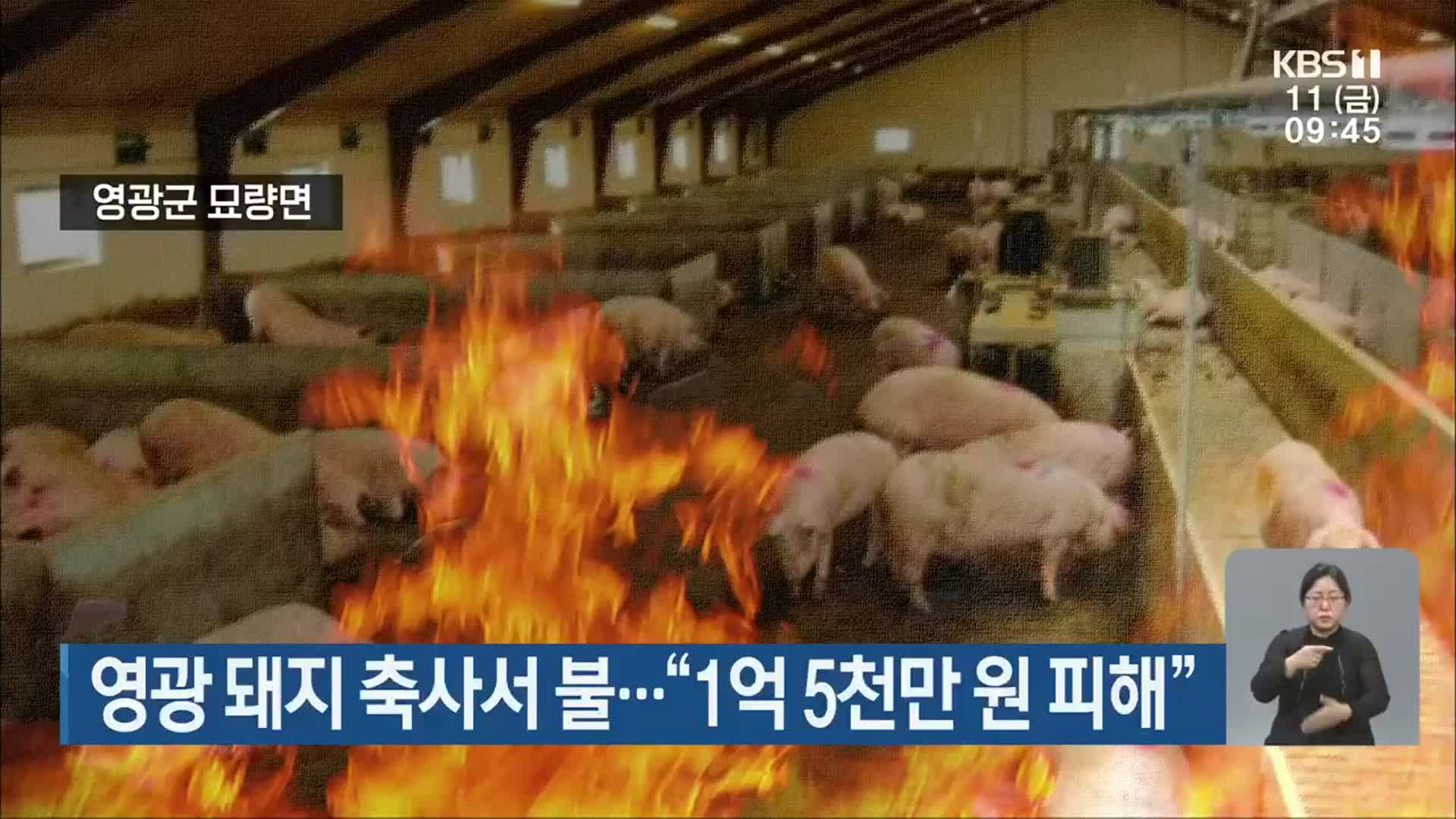 영광 돼지 축사서 불…“1억 5천만 원 피해”