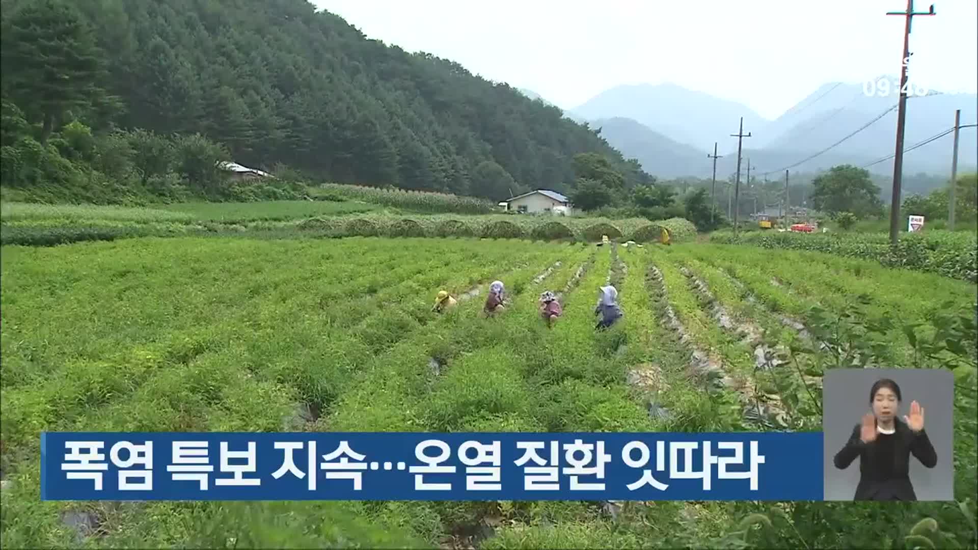 광주·전남 폭염 특보 지속…온열 질환 잇따라