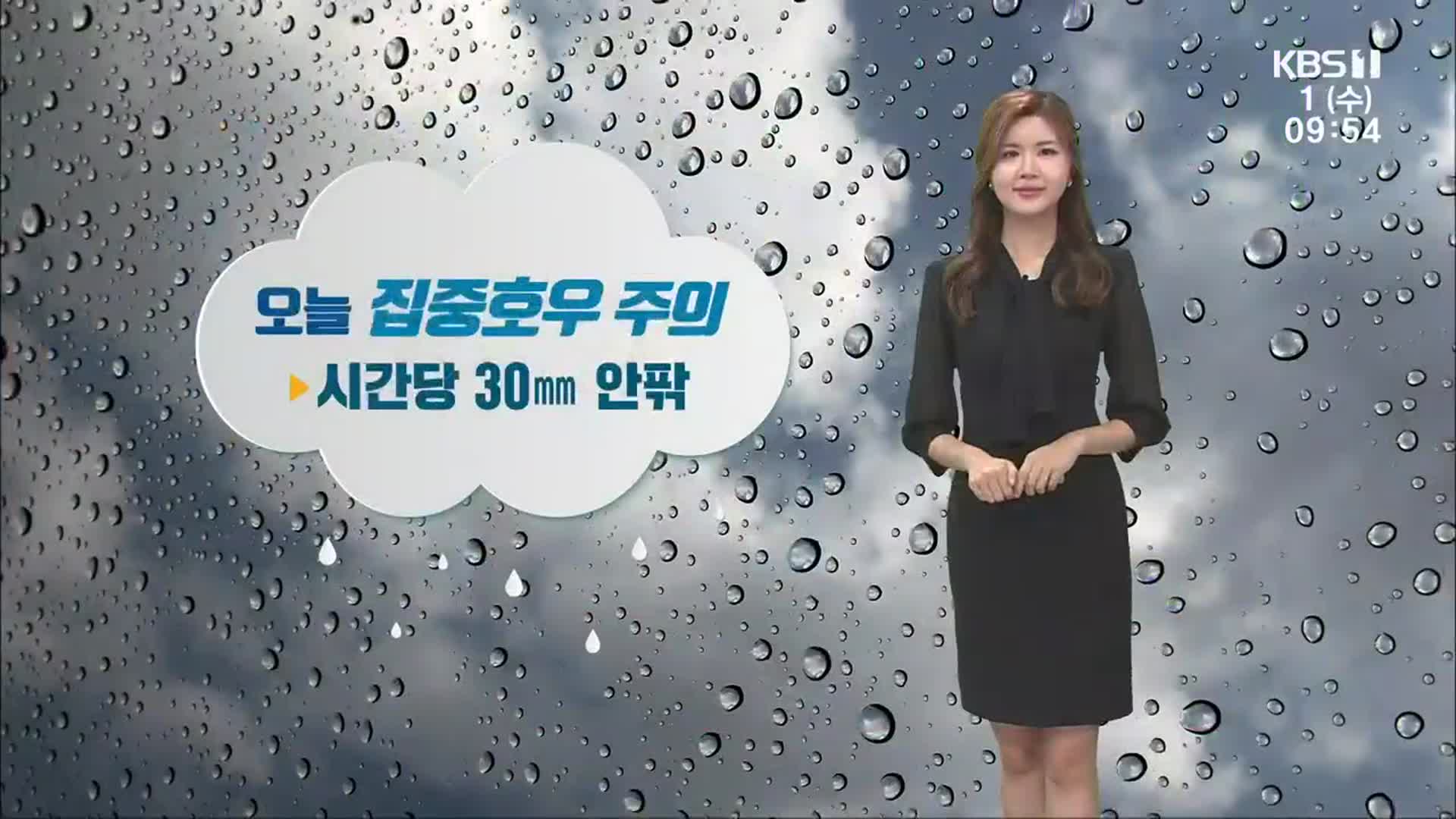 [날씨] 광주·전남 시간당 30㎜ 안팎 비…광주 호우주의보