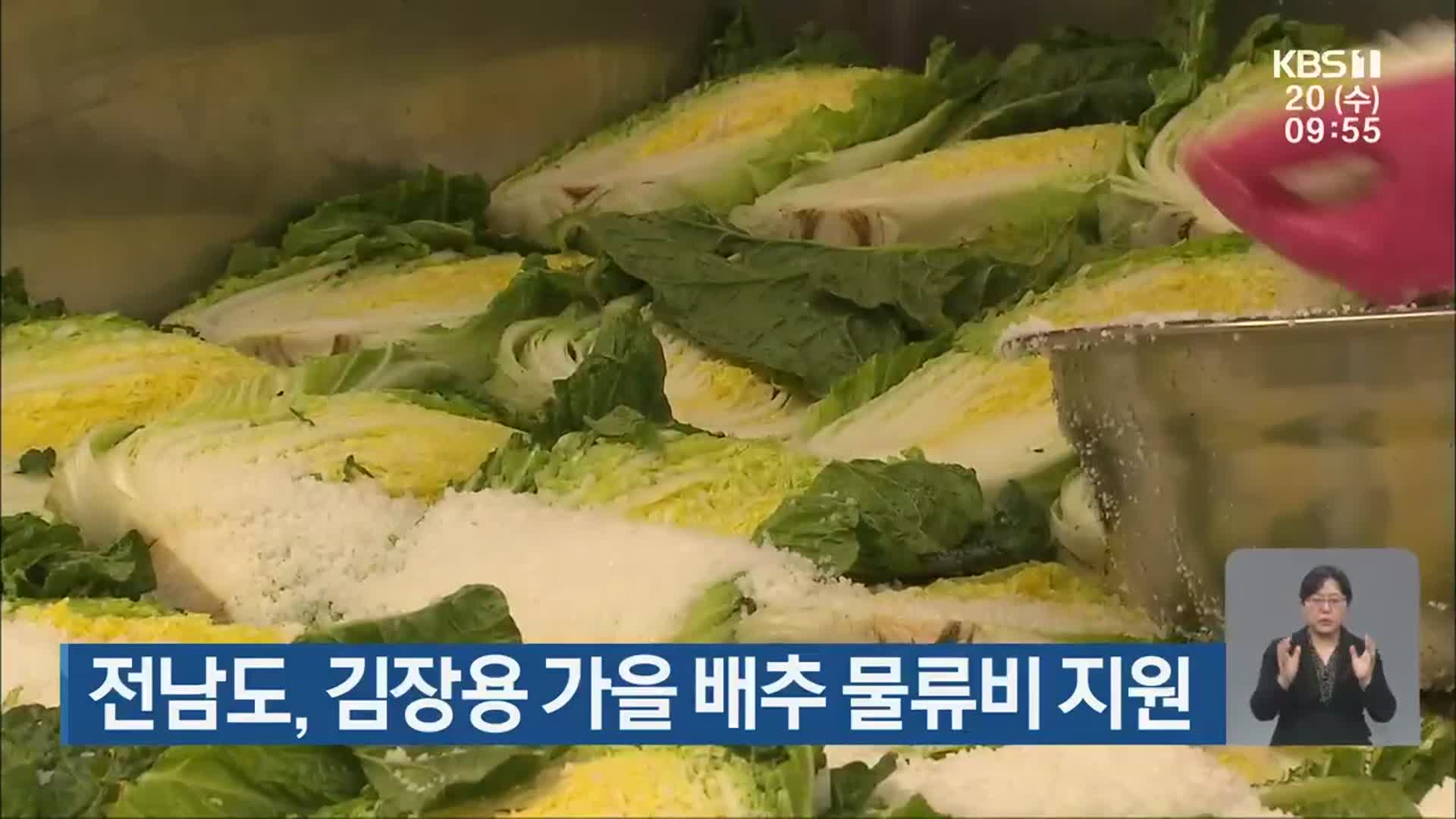 전남도, 김장용 가을 배추 물류비 지원