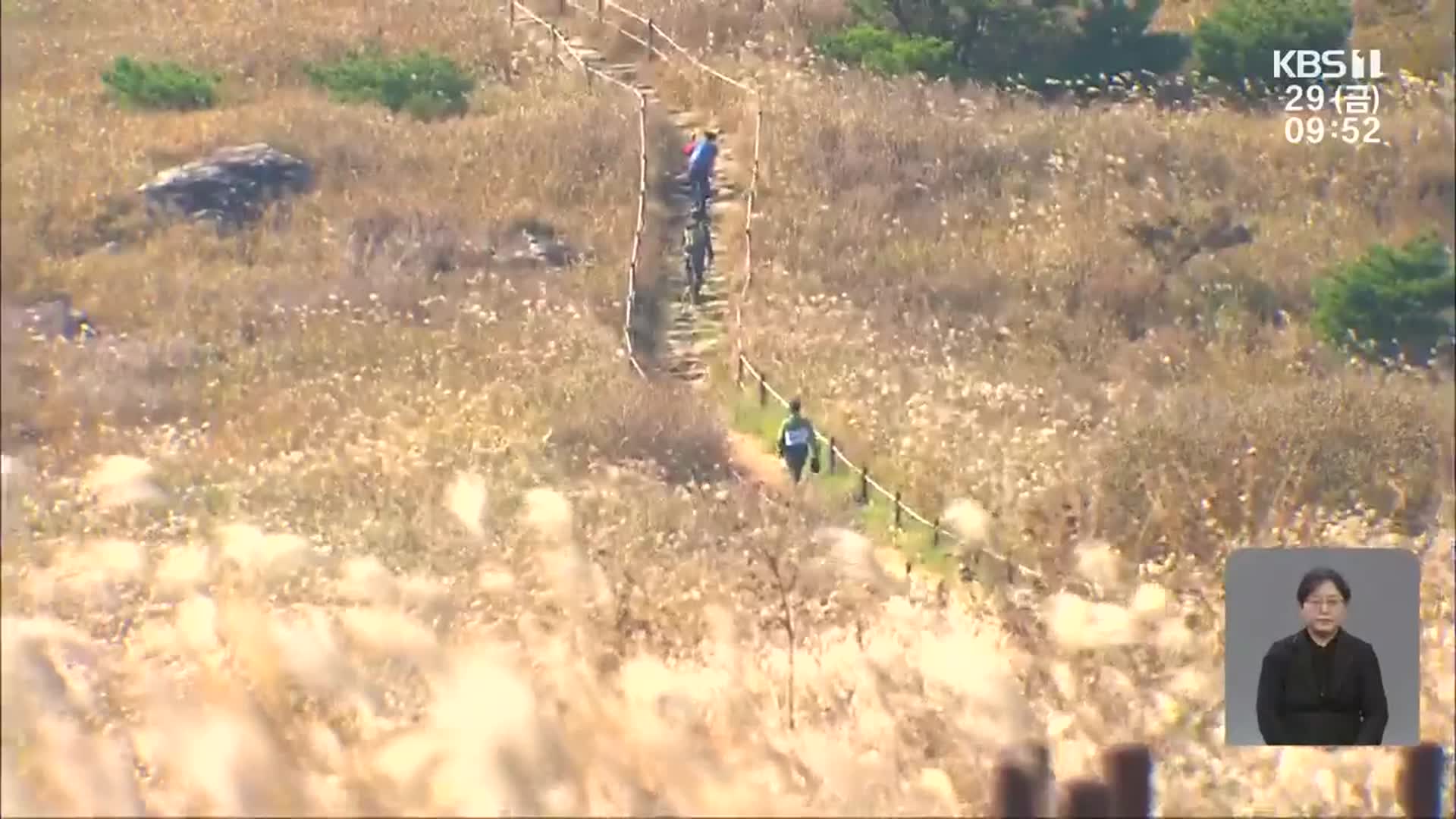 깊어가는 가을…무등산 억새 은빛 향연