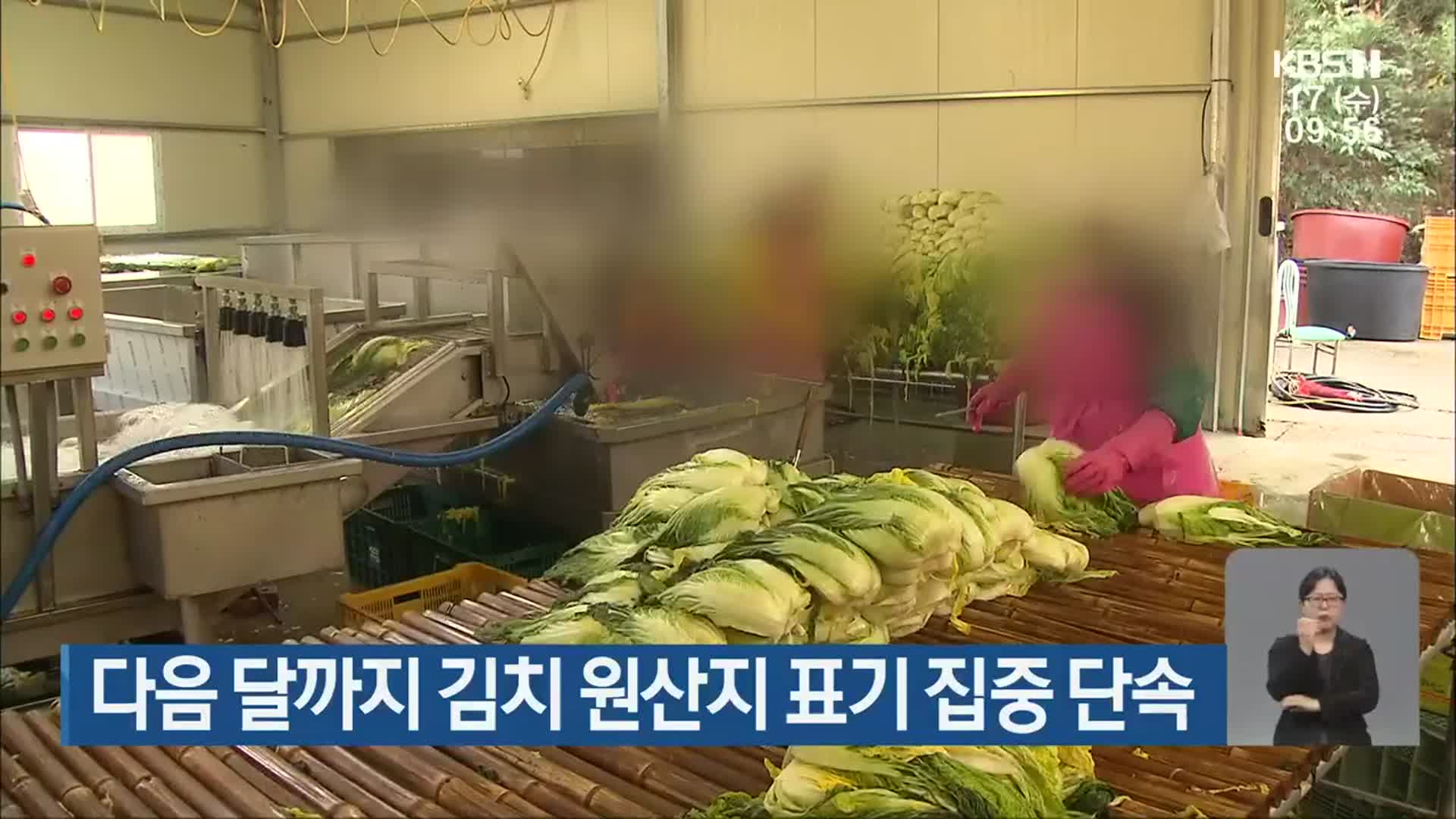 다음 달까지 김치 원산지 표기 집중 단속