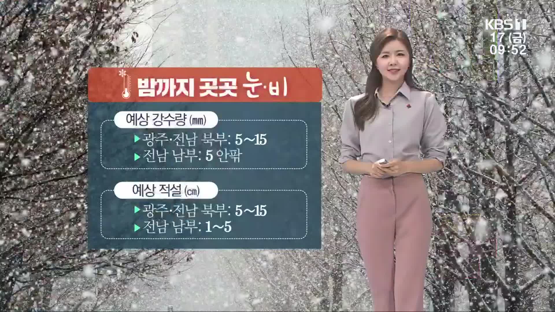 [날씨] 광주·전남 밤까지 최대 15cm 눈…장성, 담양 대설주의보