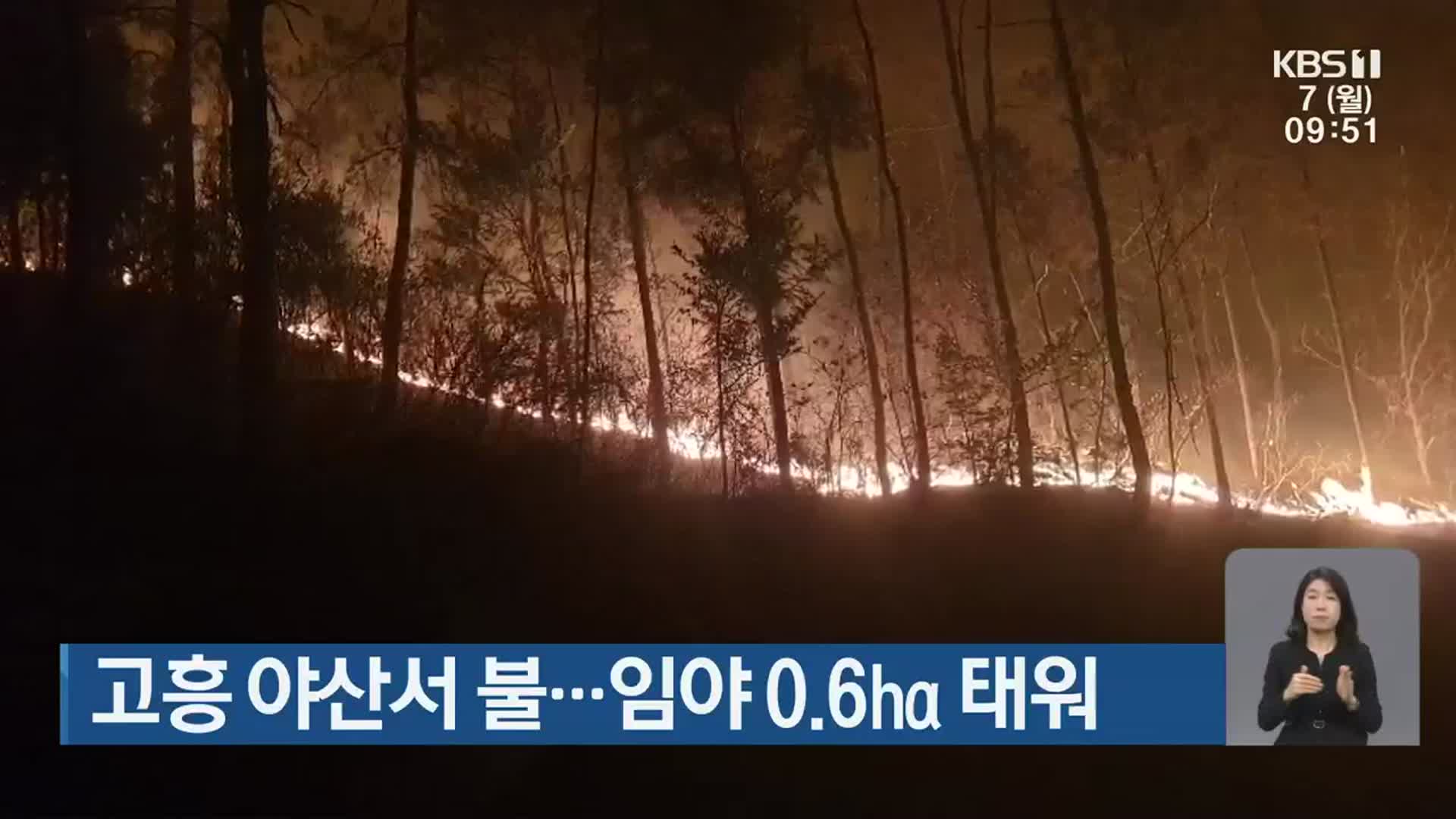 고흥 야산서 불…임야 0.6㏊ 태워