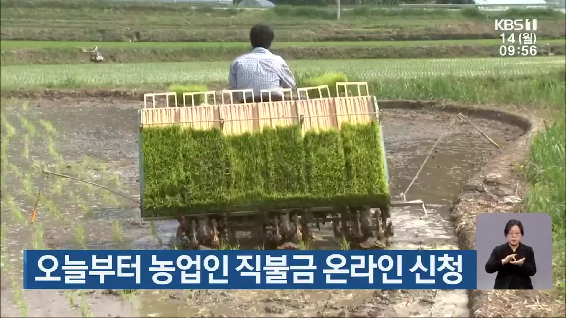 오늘부터 농업인 직불금 온라인 신청