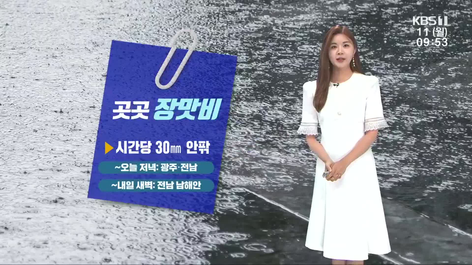 [날씨] 광주·전남 곳곳 내일까지 장맛비…집중호우 주의