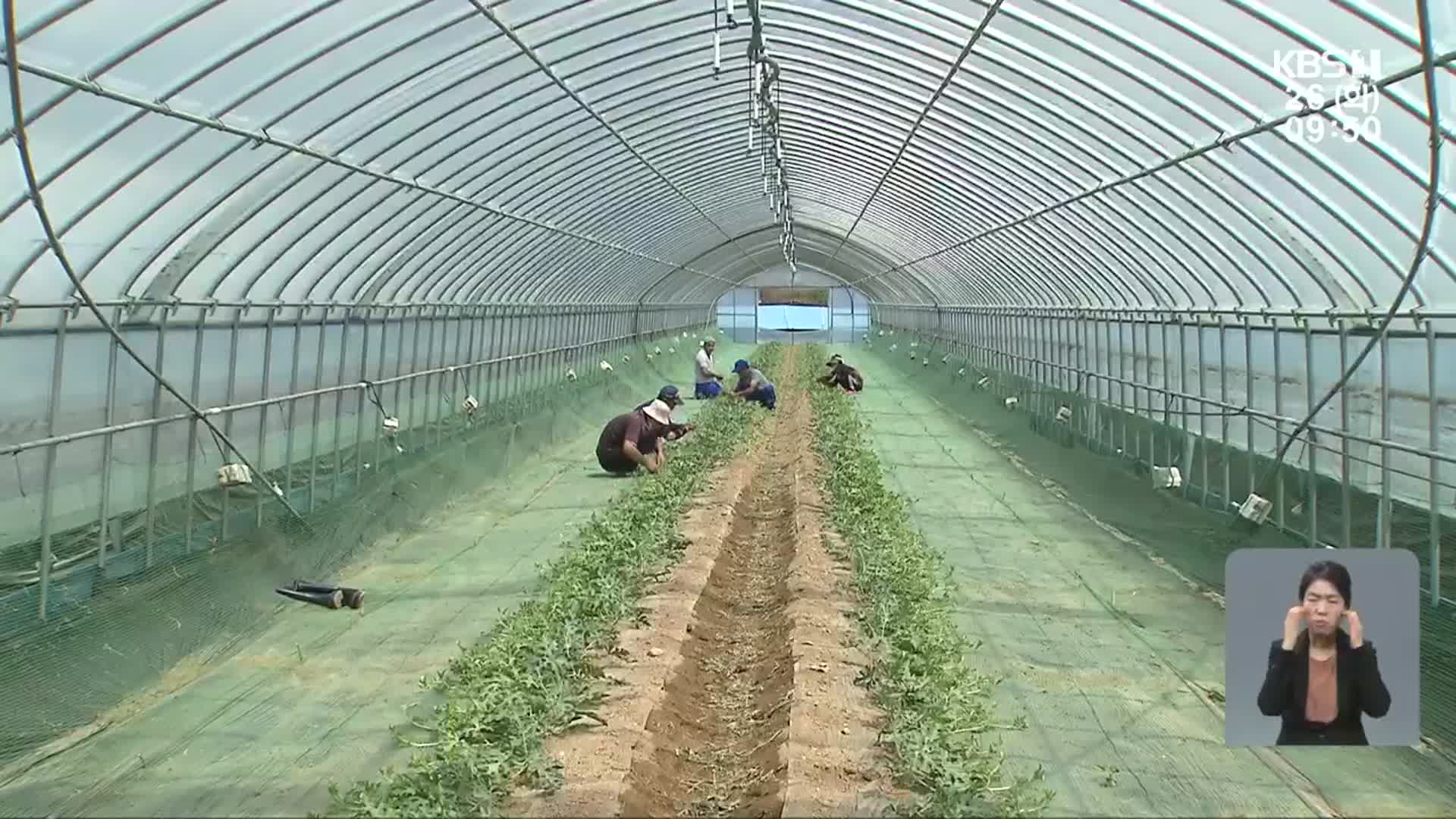 56%의 비밀…외국인계절근로제 실태보고