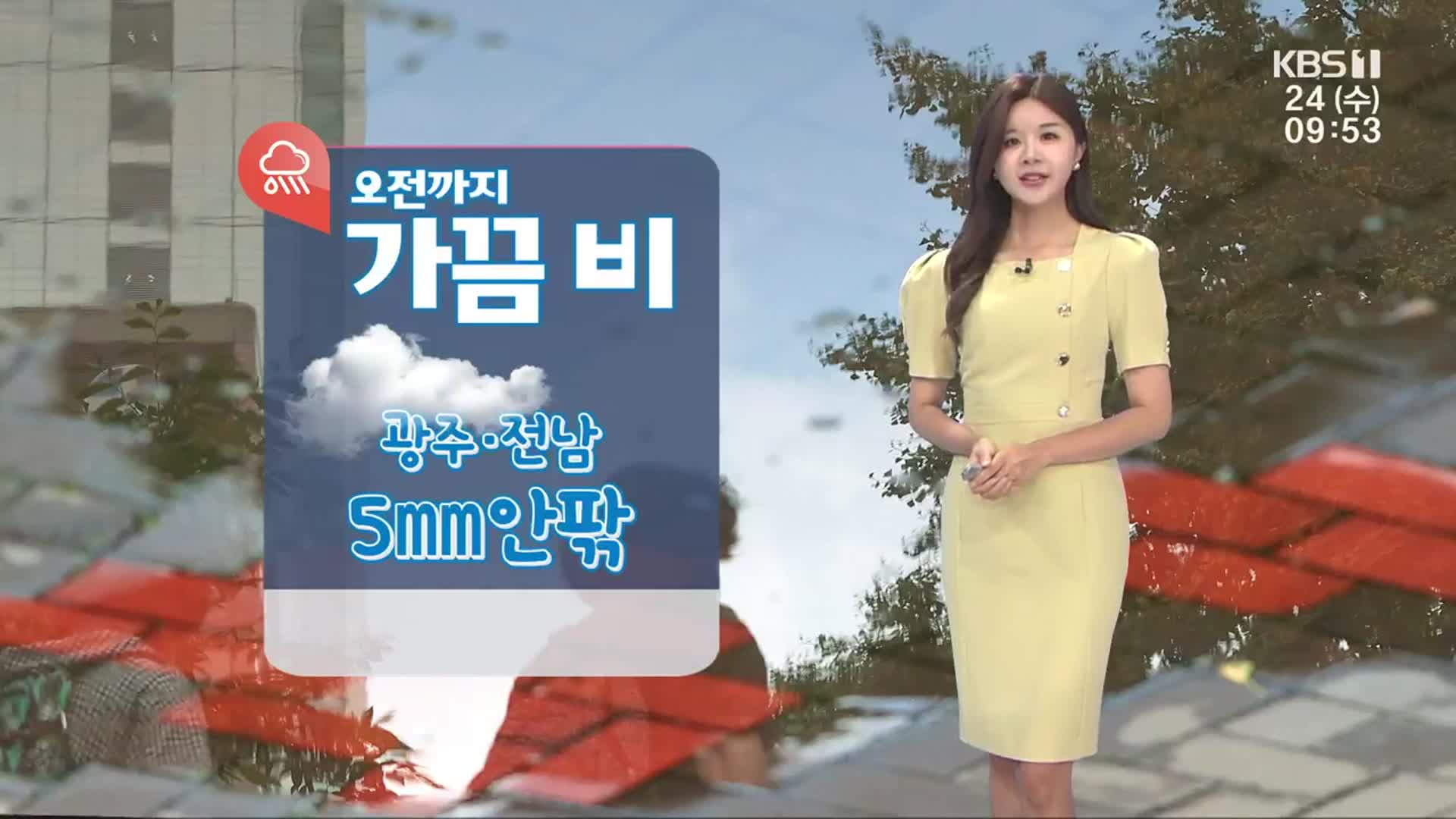 [날씨] 광주·전남 오전까지 곳곳 비…내륙 낮 더위 계속