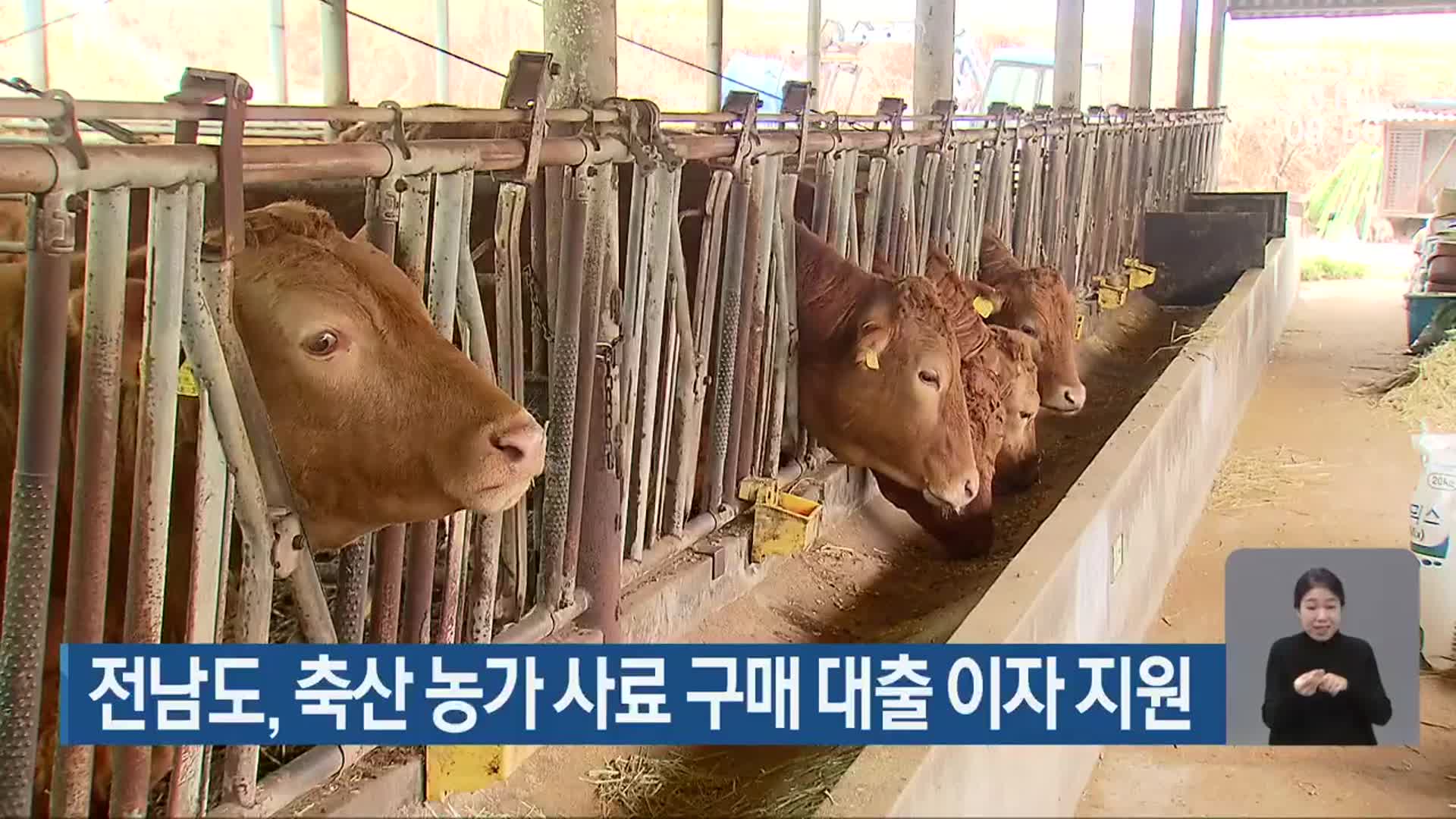 전남도, 축산 농가 사료 구매 대출 이자 지원