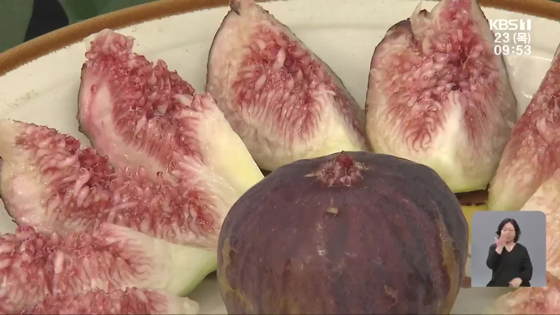 겨울에 맛보는 영암 무화과…“농가 소득 향상 기대”