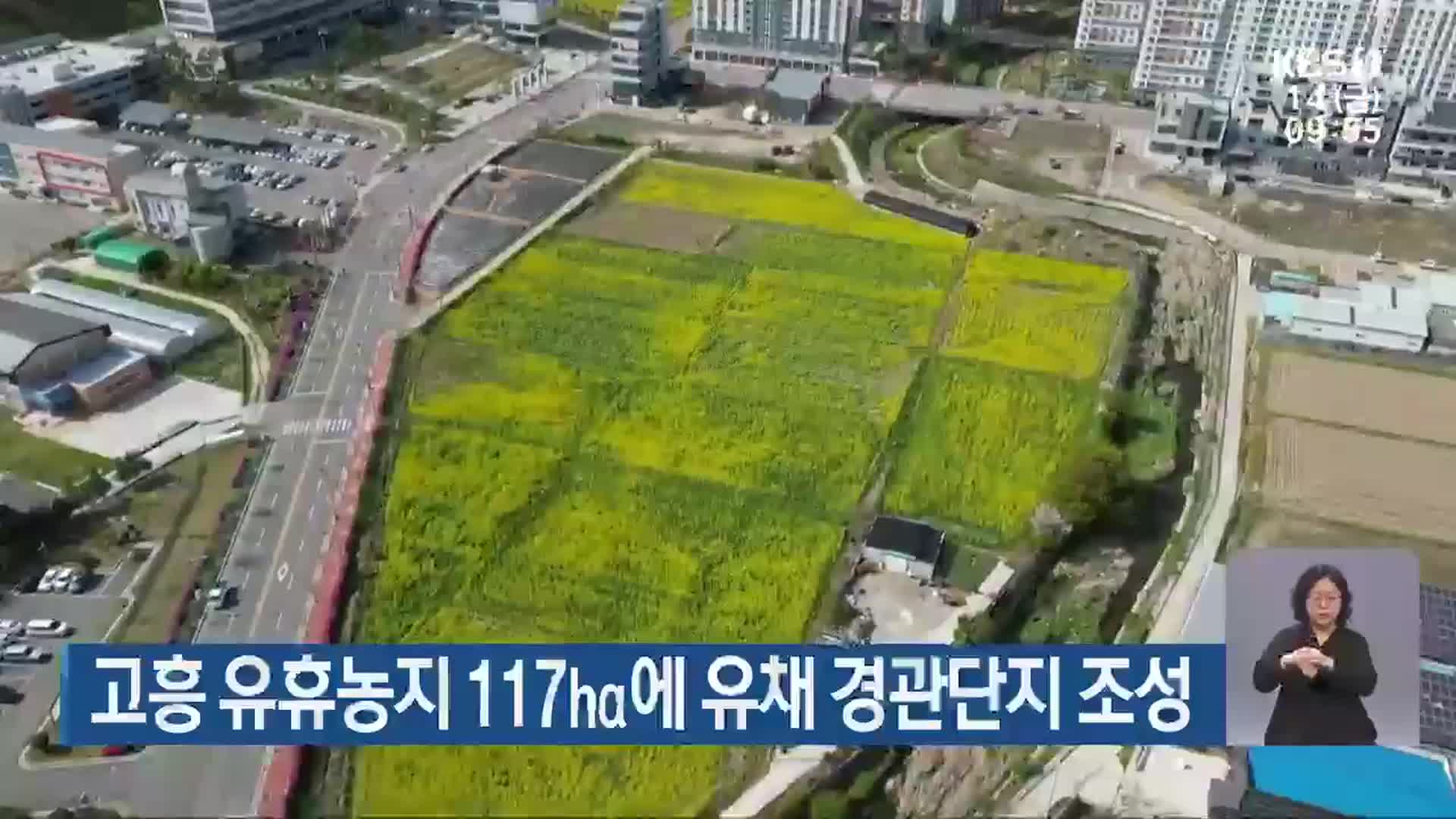 고흥 유휴농지 117㏊에 유채 경관단지 조성