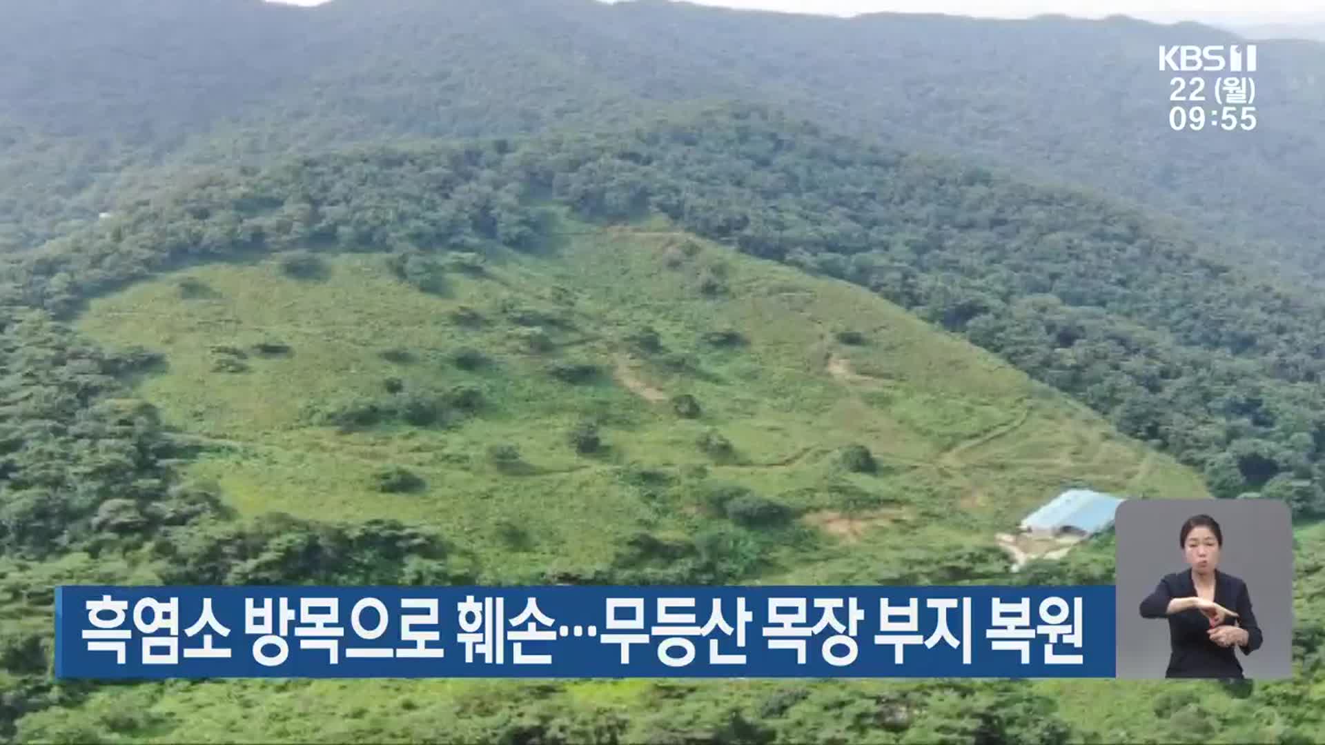 흑염소 방목으로 훼손…무등산 목장 부지 복원