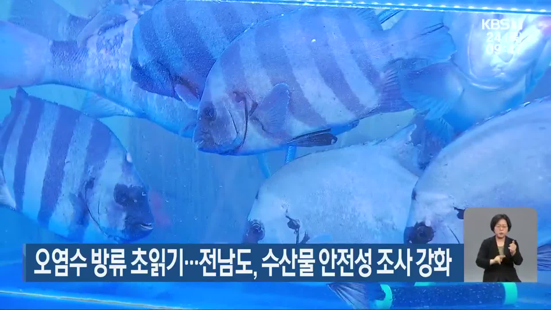 오염수 방류 초읽기…전남도, 수산물 안전성 조사 강화