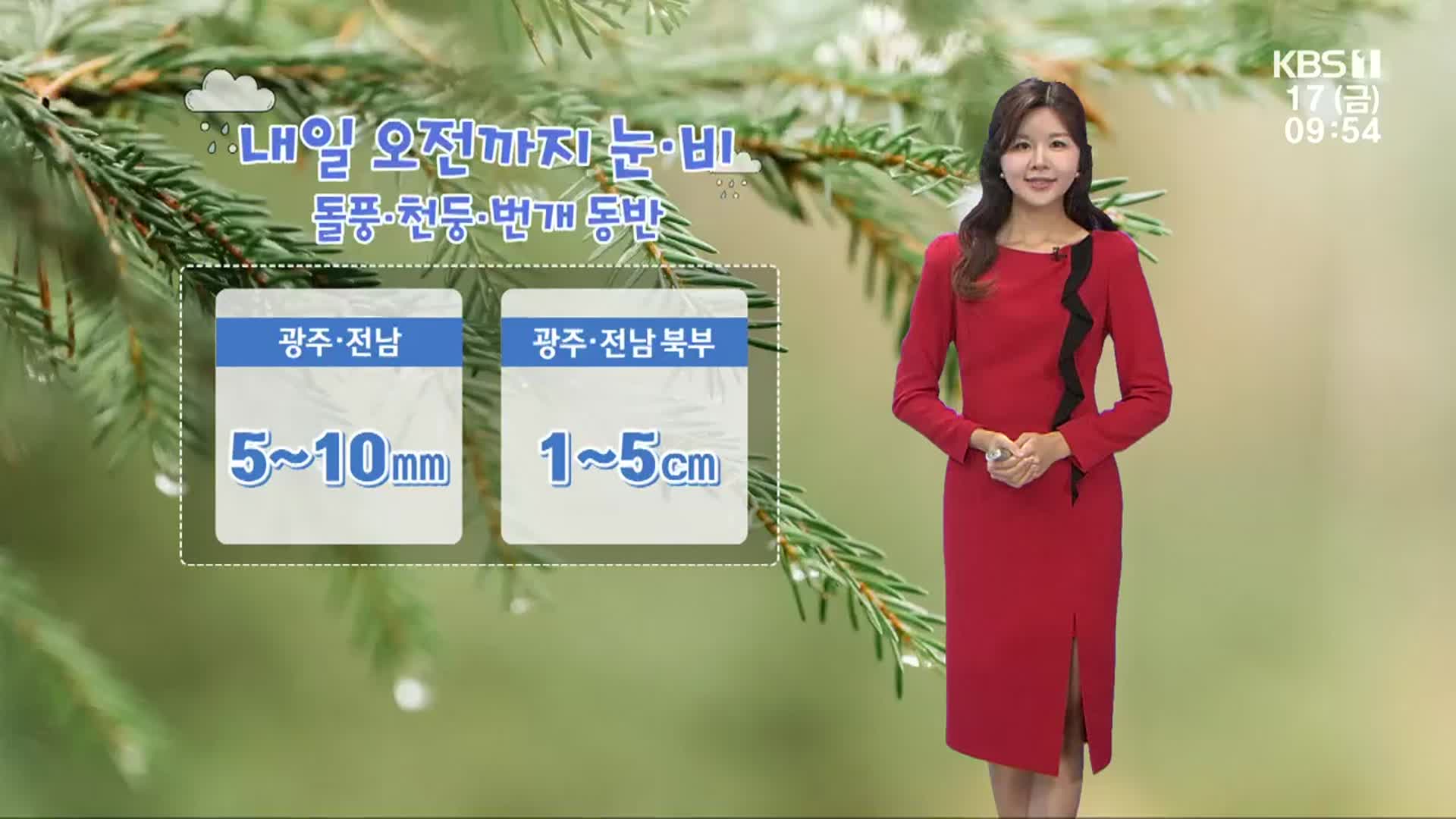 [날씨] 광주·전남 광주·전남 춥고, 곳곳 첫눈…1~5cm