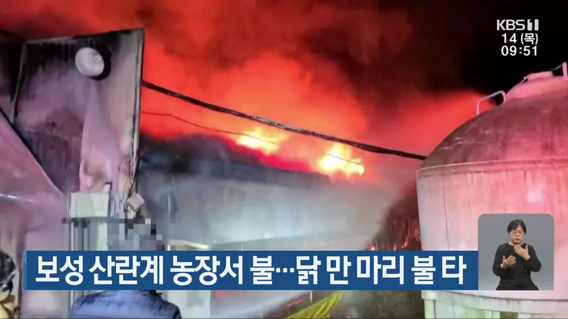 보성 산란계 농장서 불…닭 만 마리 불 타