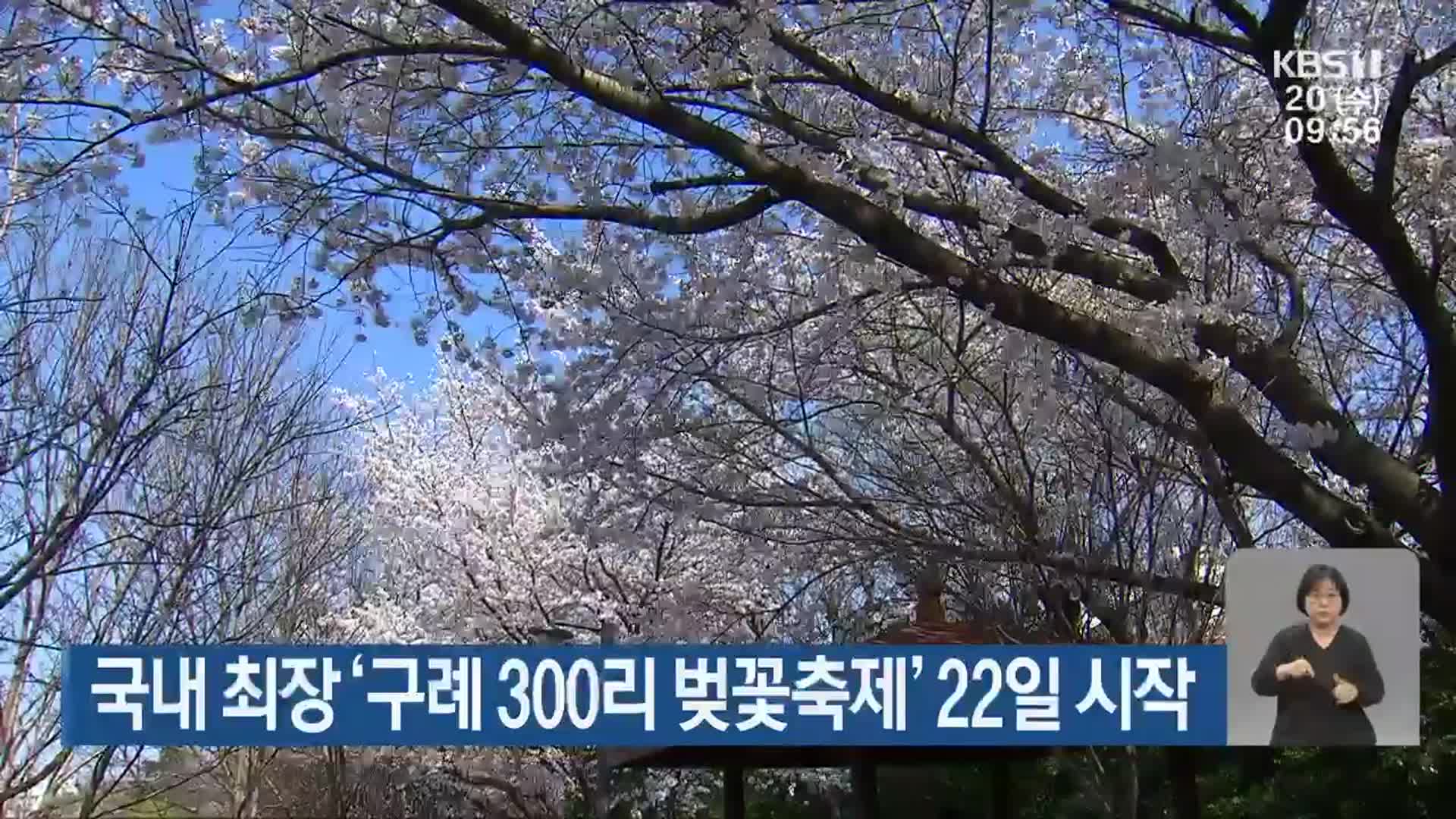 국내 최장 ‘구례 300리 벚꽃축제’ 22일 시작