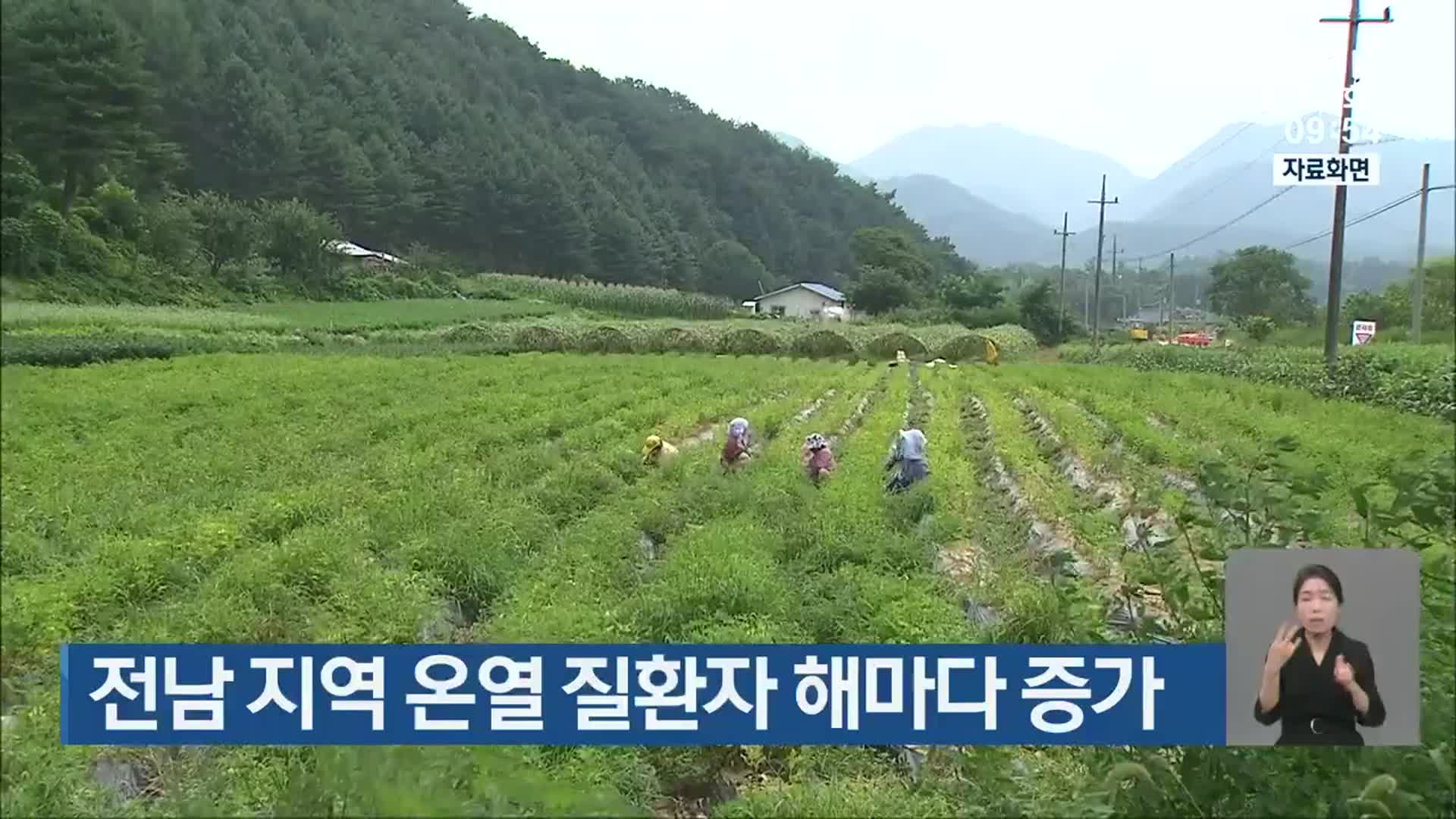 전남 지역 온열 질환자 해마다 증가