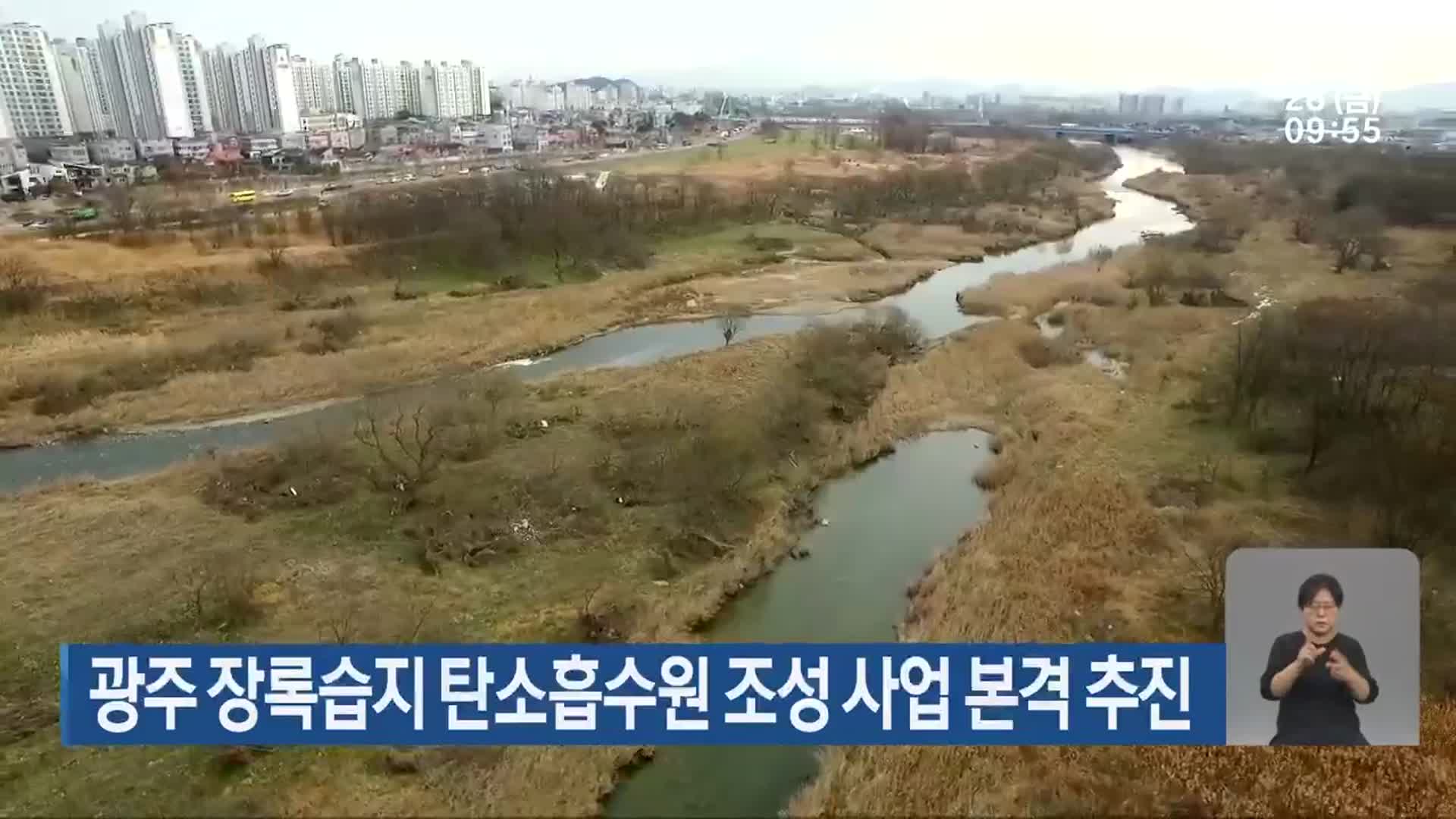 광주 장록습지 탄소흡수원 조성 사업 본격 추진