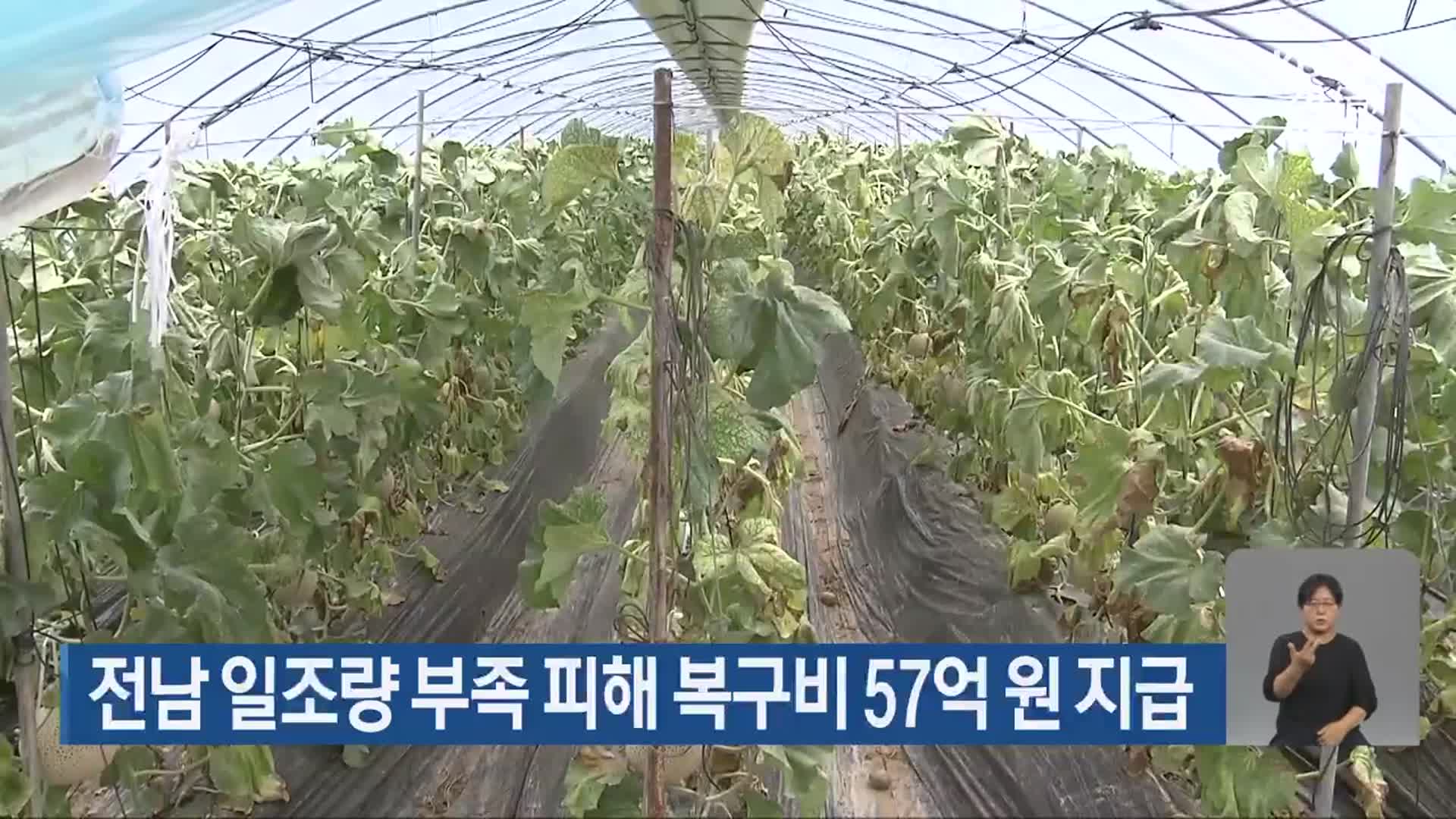 전남 일조량 부족 피해 복구비 57억 원 지급