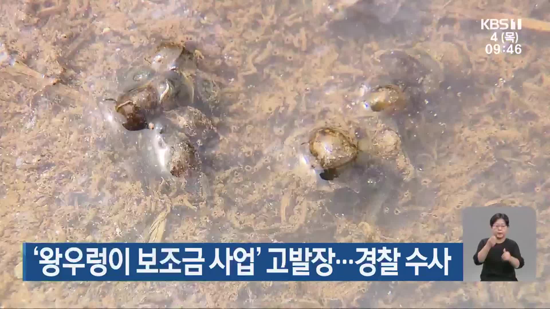 ‘왕우렁이 보조금 사업’ 고발장…경찰 수사