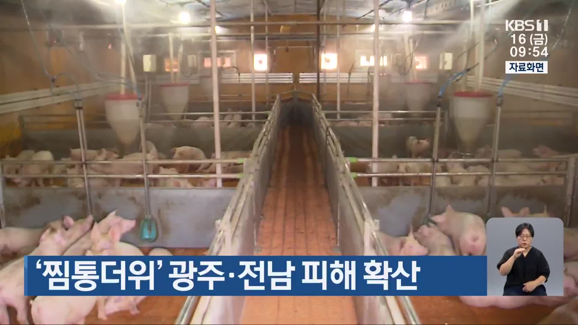 ‘찜통더위’ 광주·전남 피해 확산