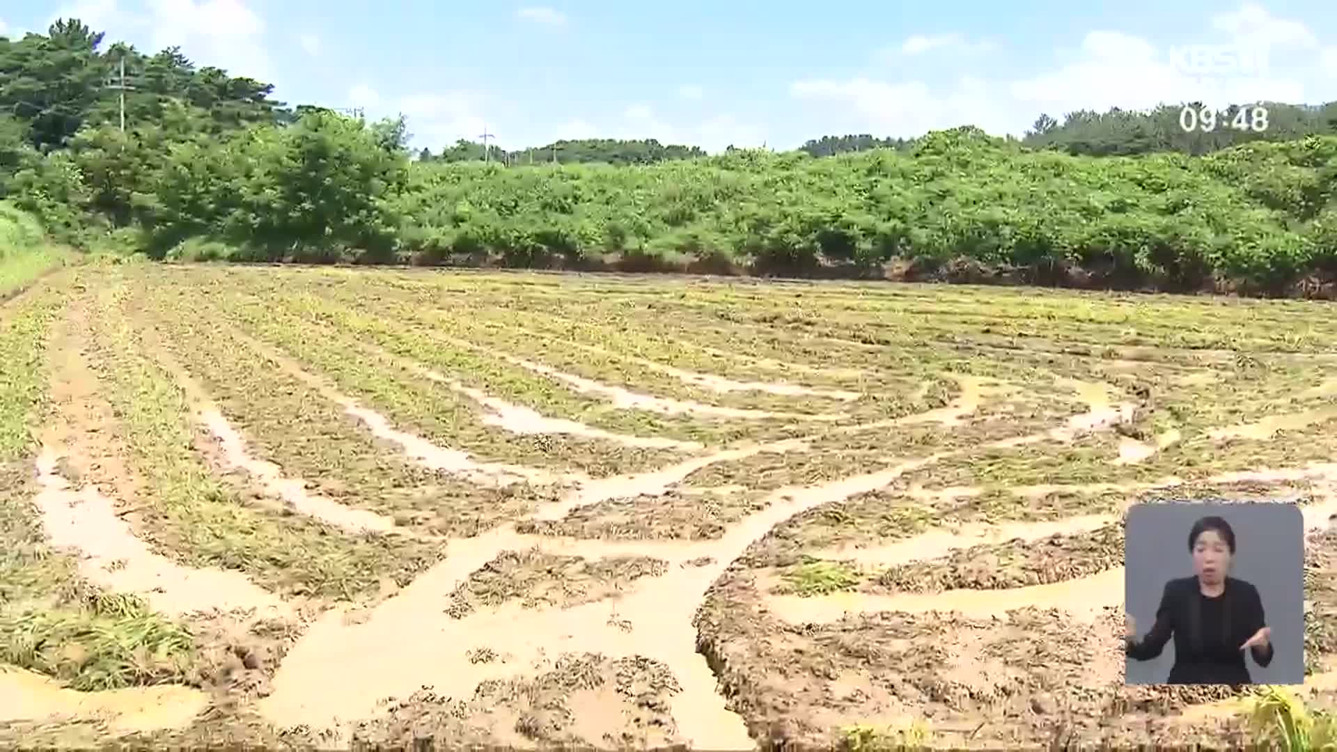 “논 갈아엎자”…쌀값 하락에 농민들 분노