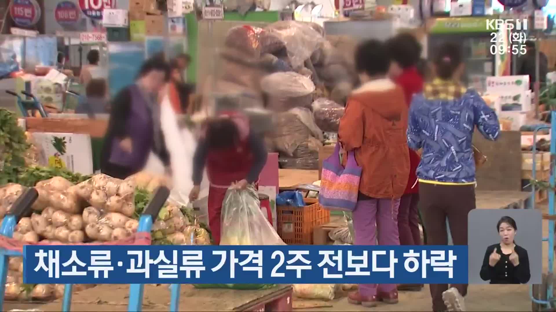 채소류·과실류 가격 2주 전보다 하락