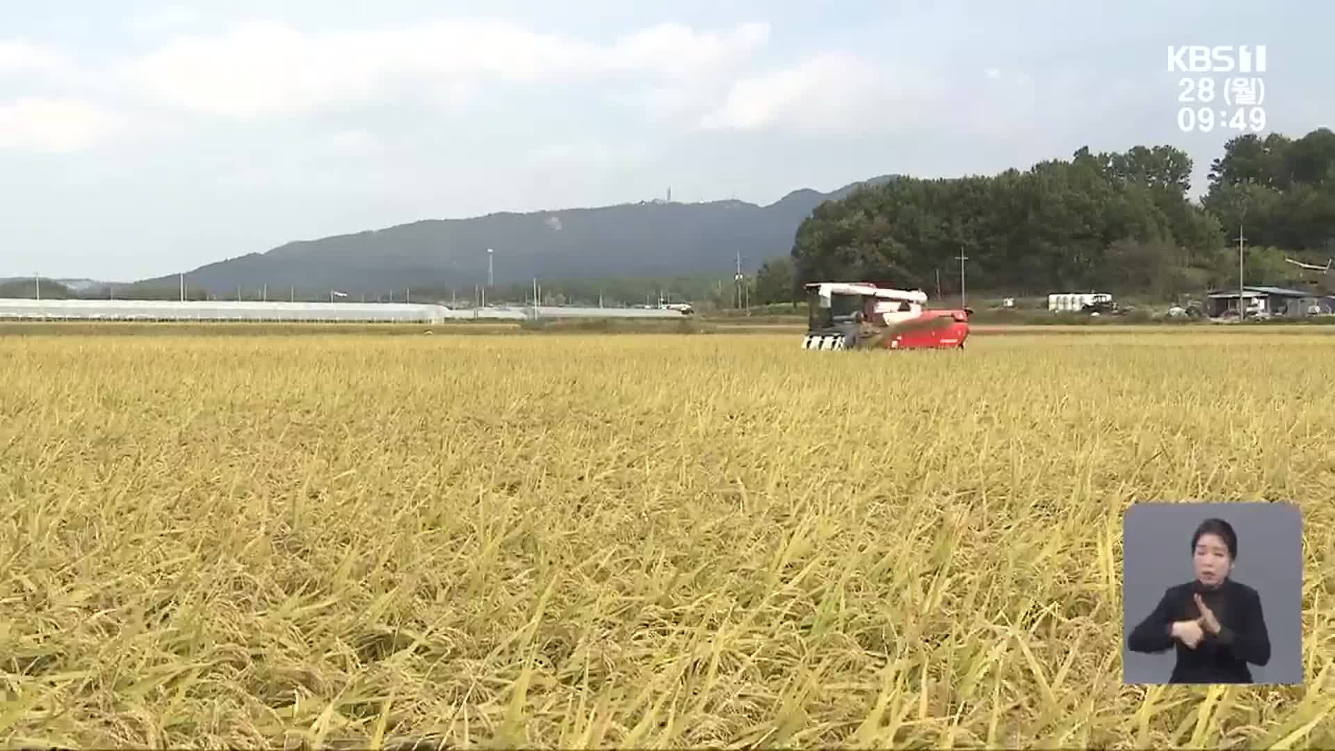 농작물 이상고온 피해 심각…“기후위기 대응 미흡”