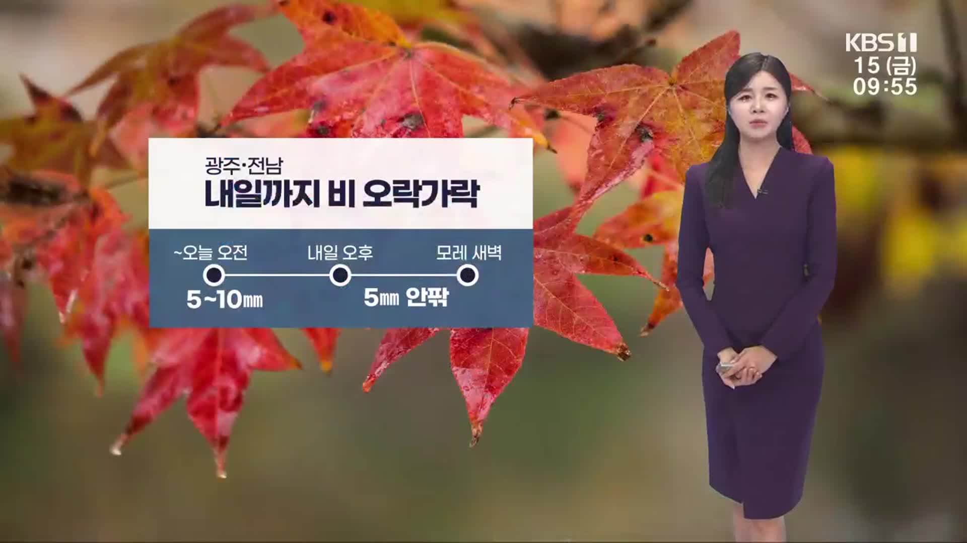 [날씨] 광주·전남 약한 비 곳곳…모레 찬공기 유입