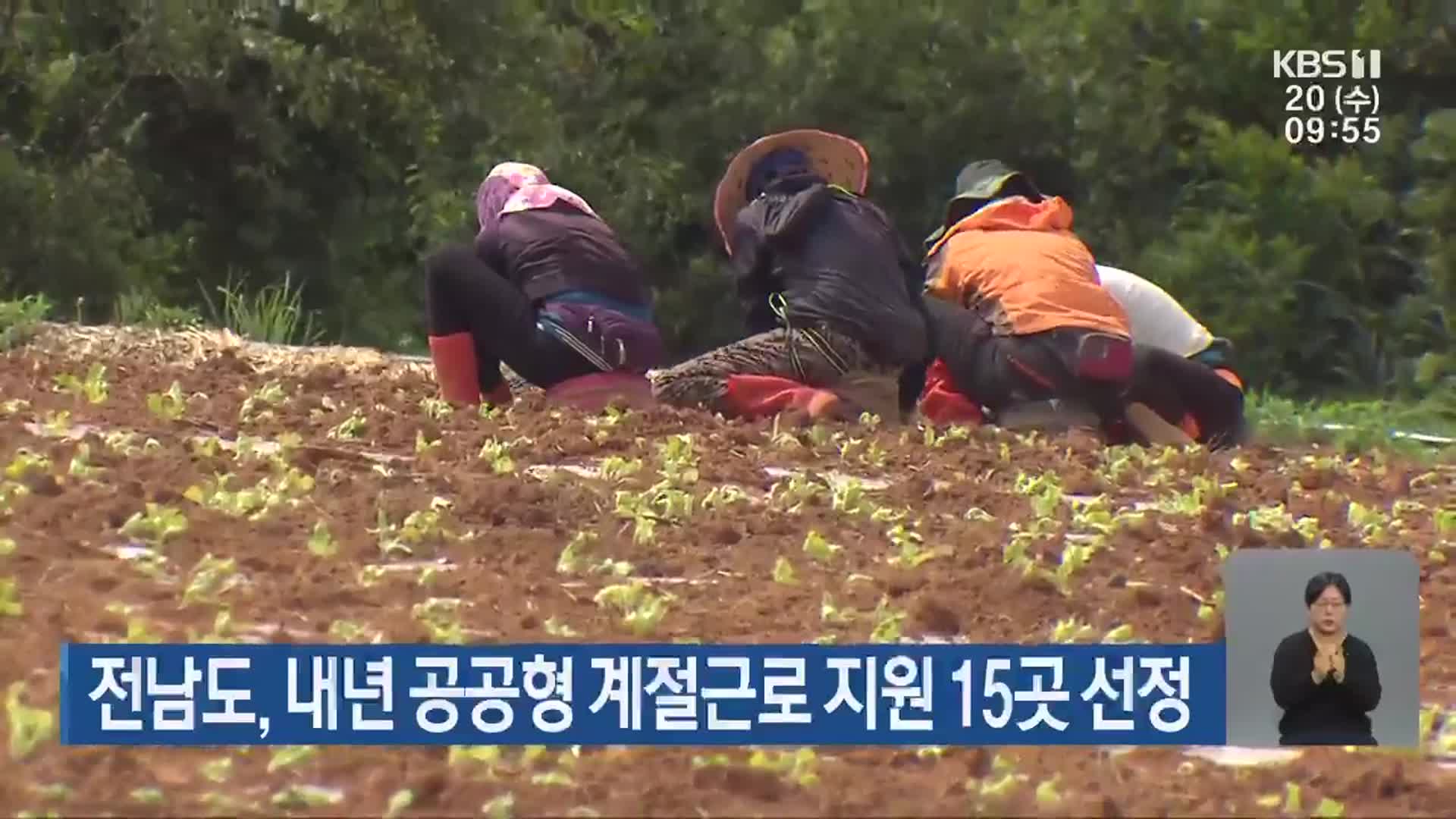 전남도, 내년 공공형 계절근로 지원 15곳 선정